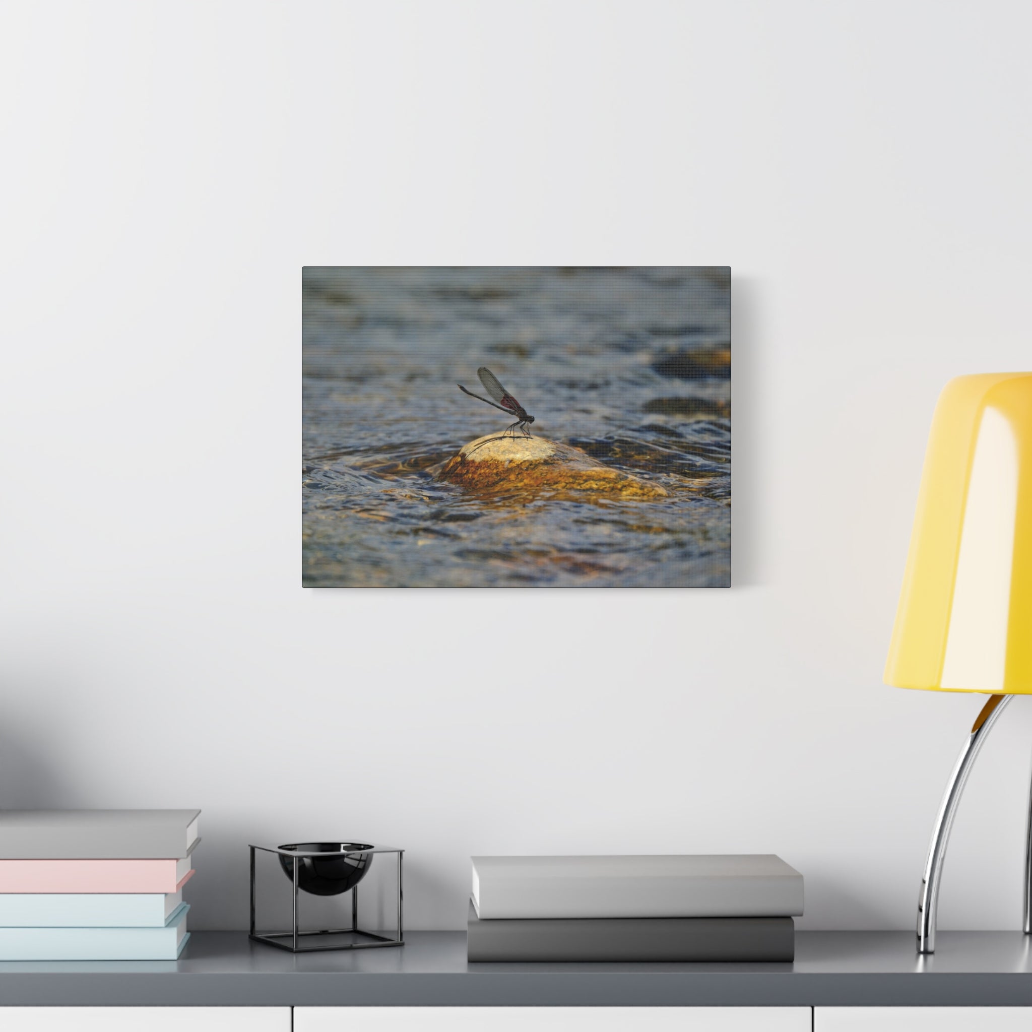 Damselfly on River Rock - Matte Canvas Print