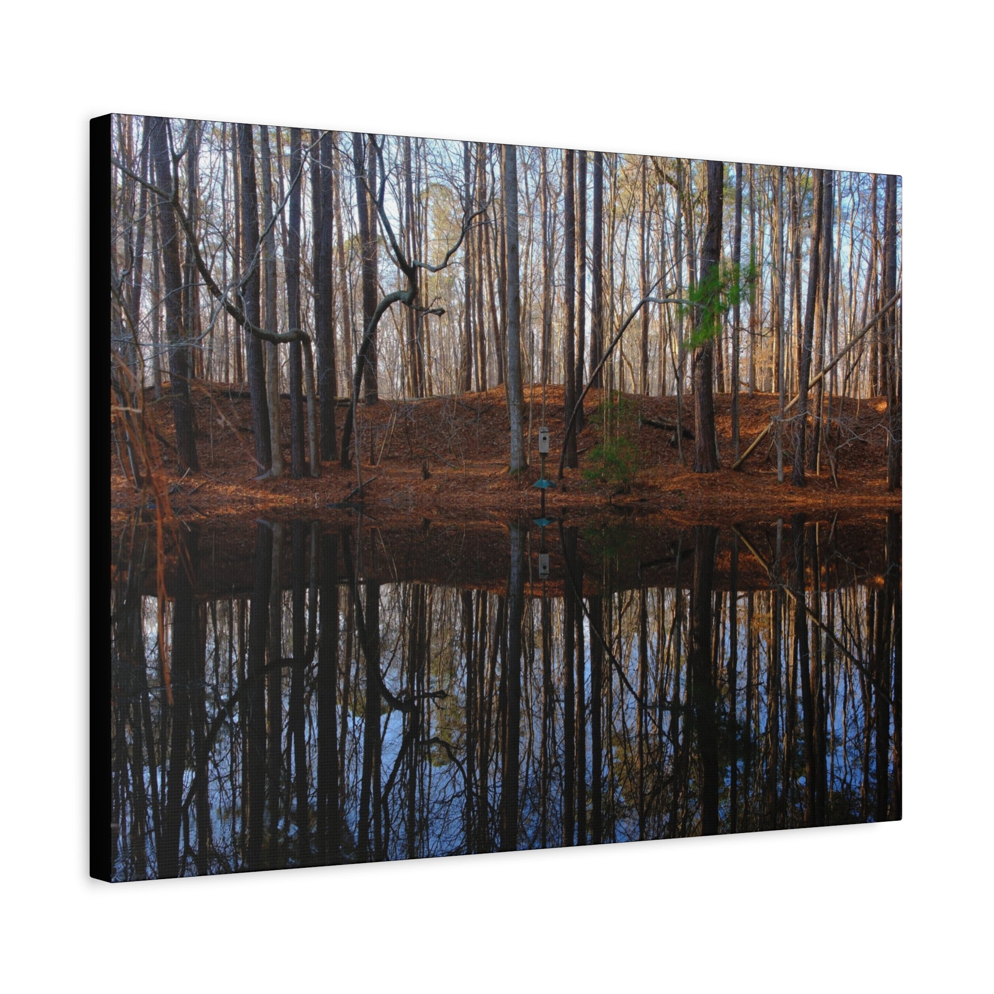 Woodland Reflection Matte Canvas Art – Stretched 1.25" Wall Decor