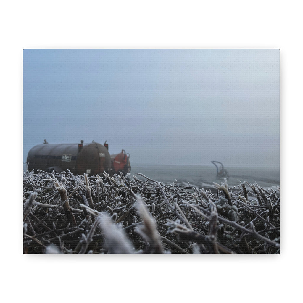 Irish Frost Farm Canvas Print — Foggy Shoreline with Frosted Driftwood