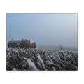 Irish Frost Farm Canvas Print — Foggy Shoreline with Frosted Driftwood
