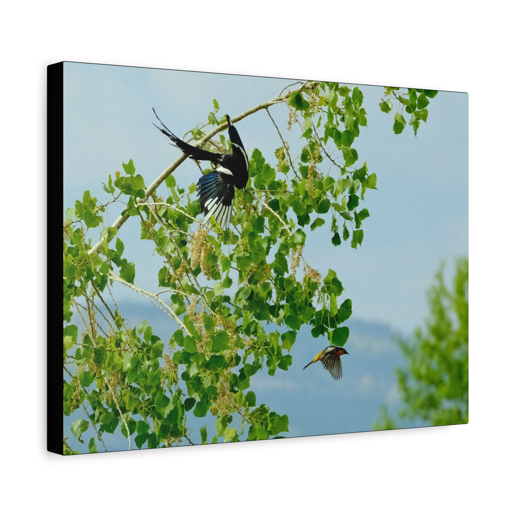 Birds in Flight Matte Canvas Wall Art — Spring Tree Branch Nature Print
