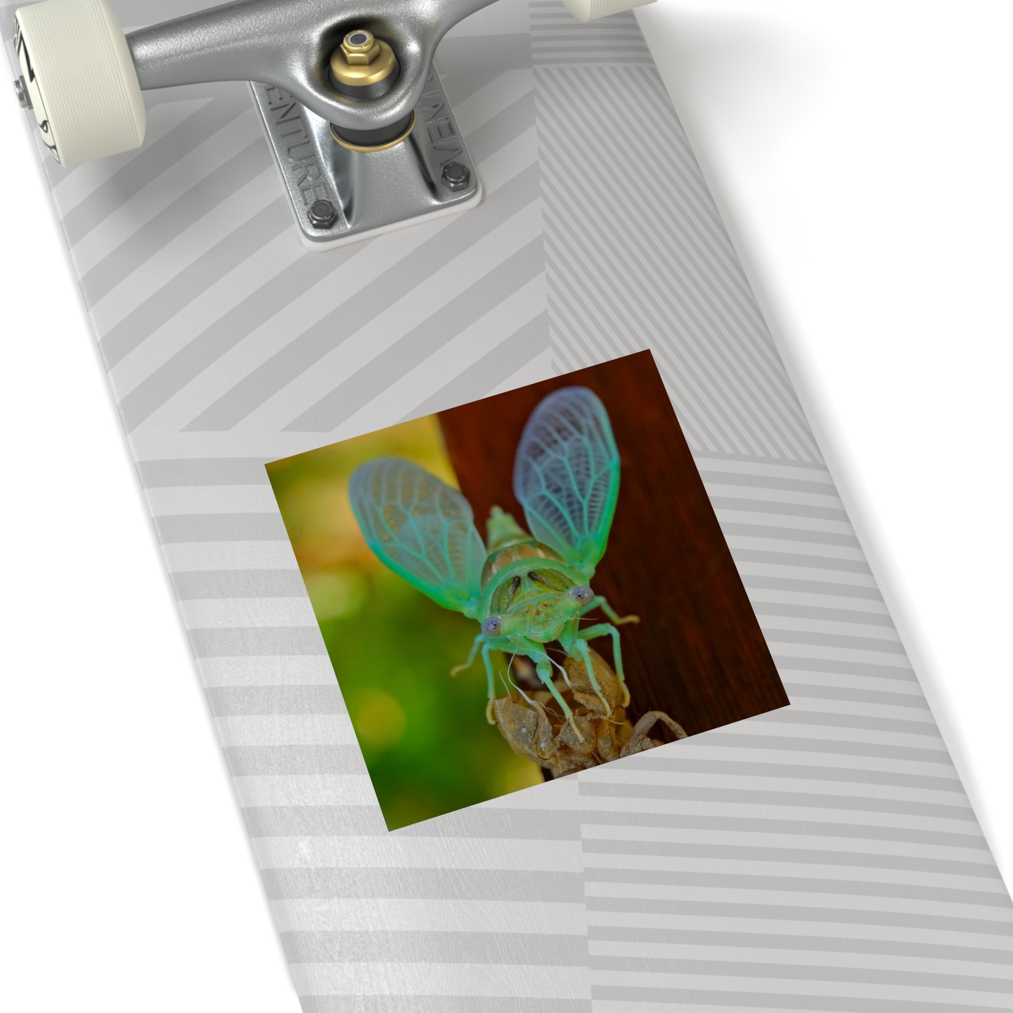 Cicada Square Sticker — Vivid Green Insect Photo Sticker (Indoor/Outdoor)