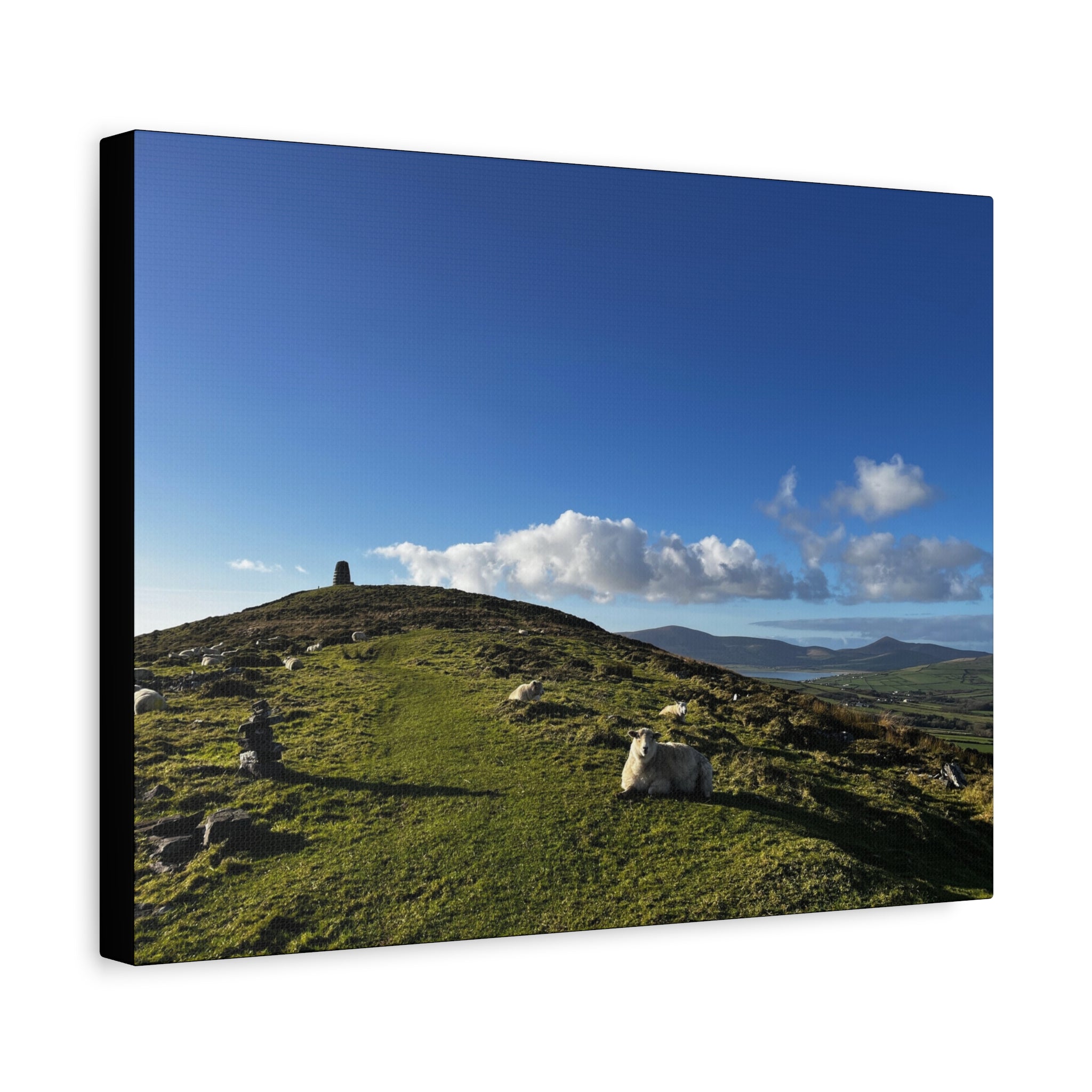 Sheep Lookout Canvas Print – Rolling Green Hills with Blue Sky