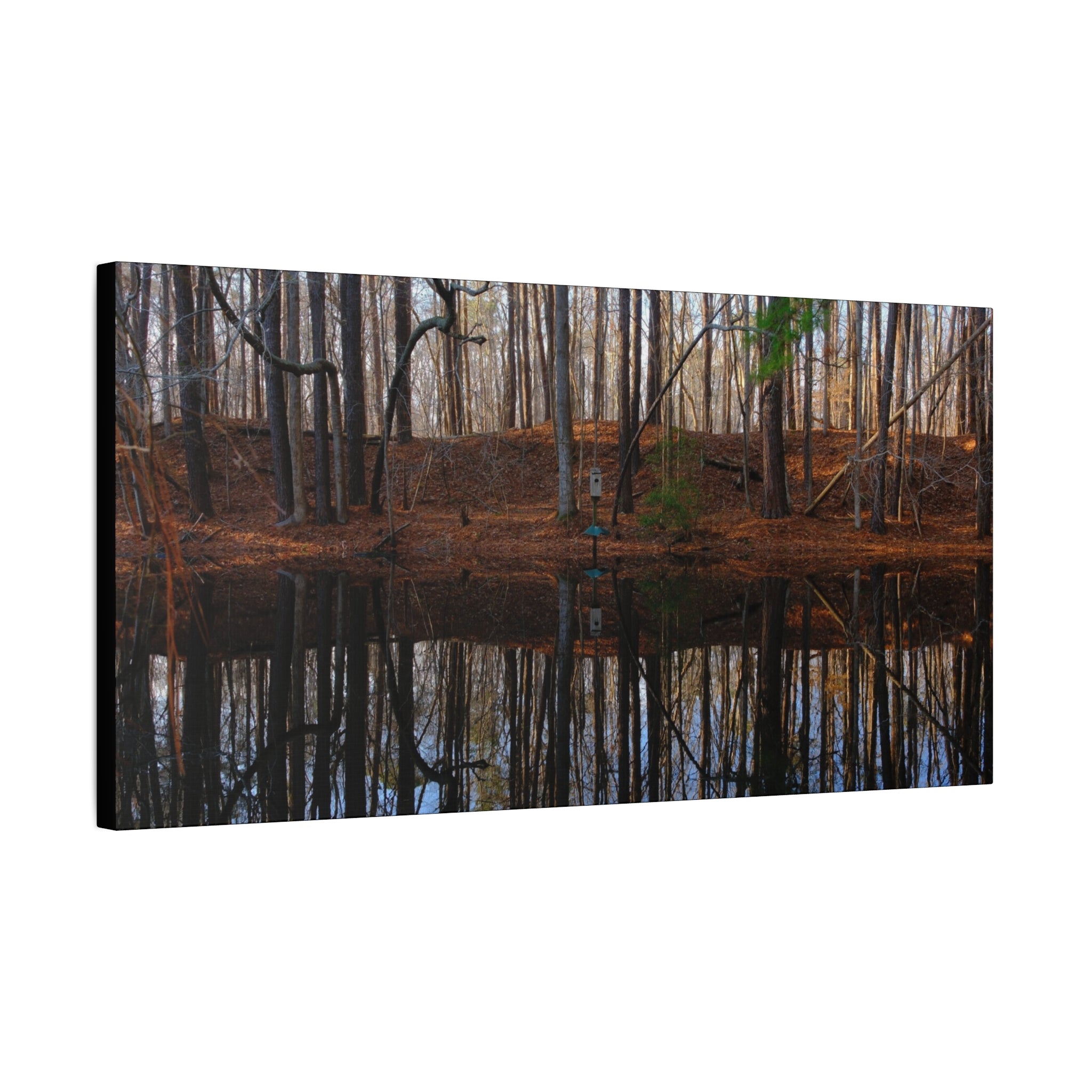 Woodland Reflection Matte Canvas Art – Stretched 1.25" Wall Decor