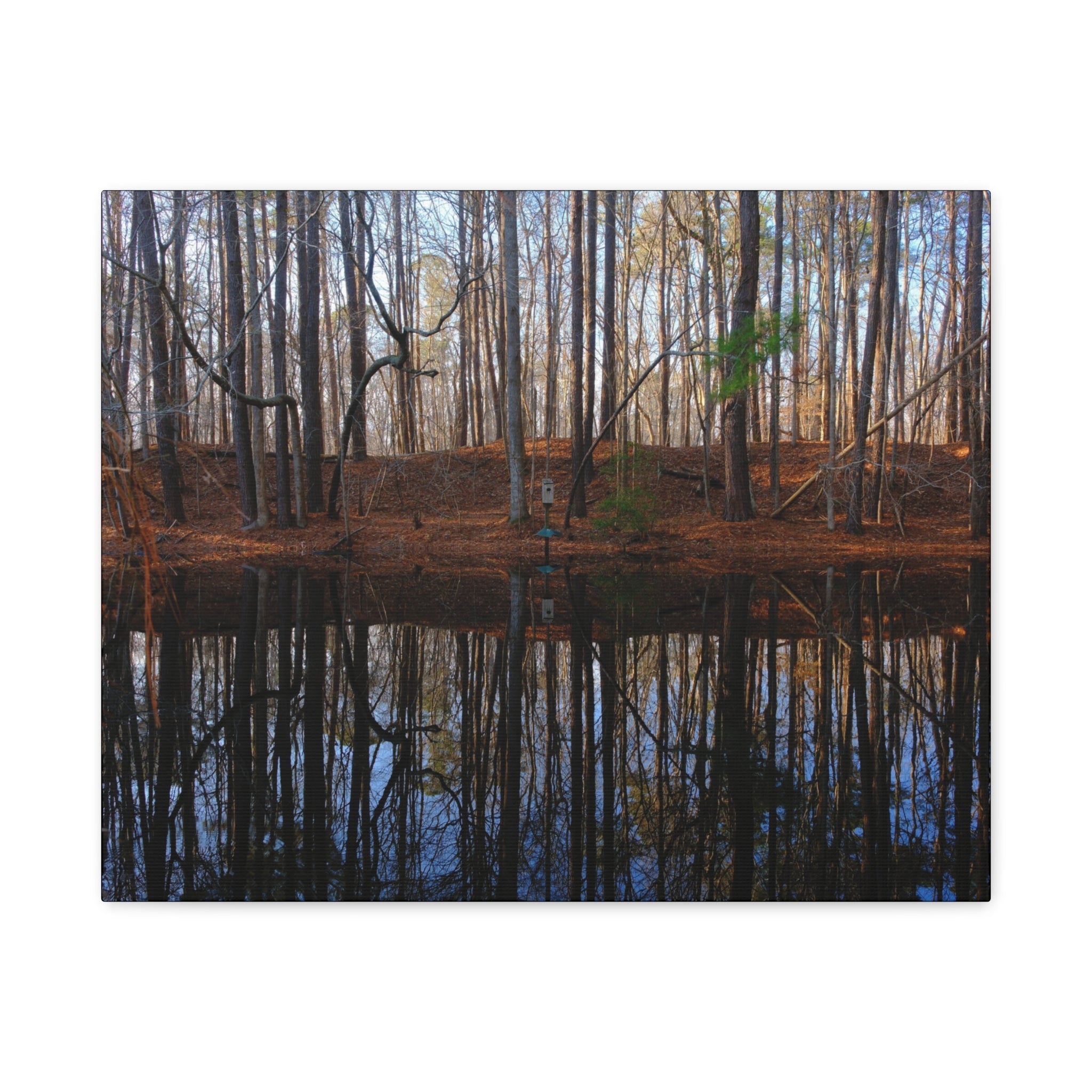 Woodland Reflection Matte Canvas Art – Stretched 1.25" Wall Decor