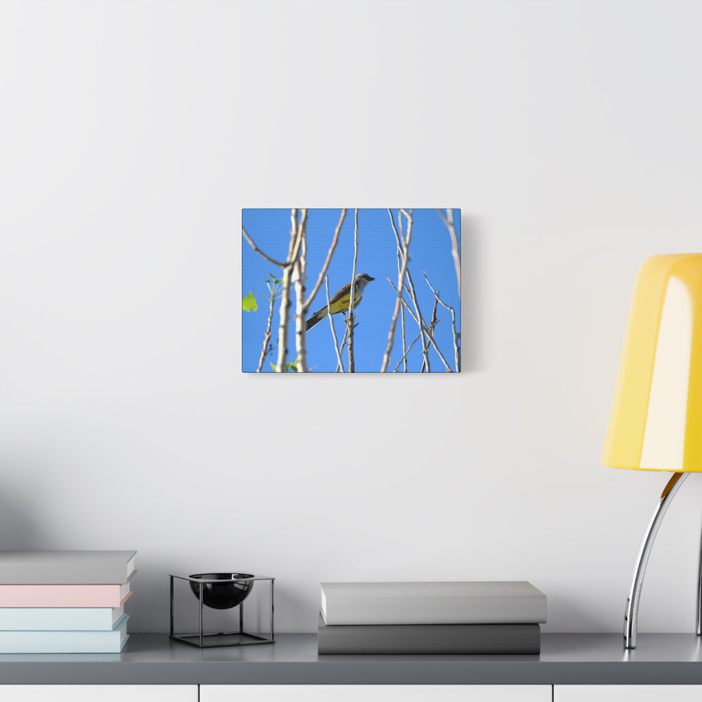 Western King Bird Horizontal Matte Canvas, Stretched, 1.25"