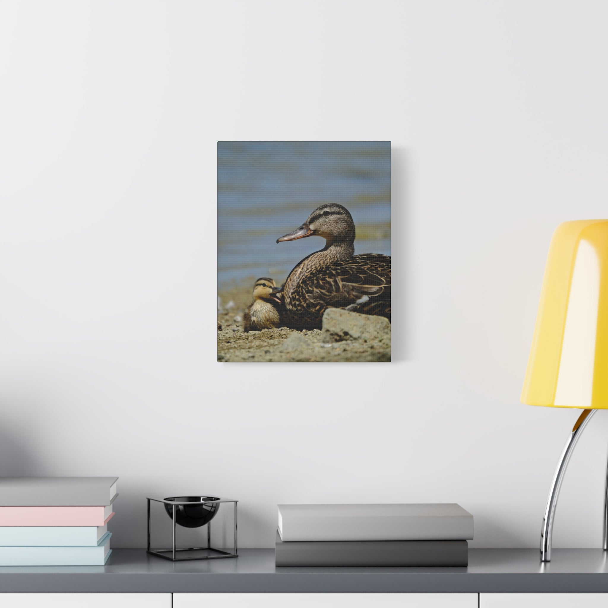 Duck and Duckling Canvas Print — Mother & Baby Wildlife Wall Art