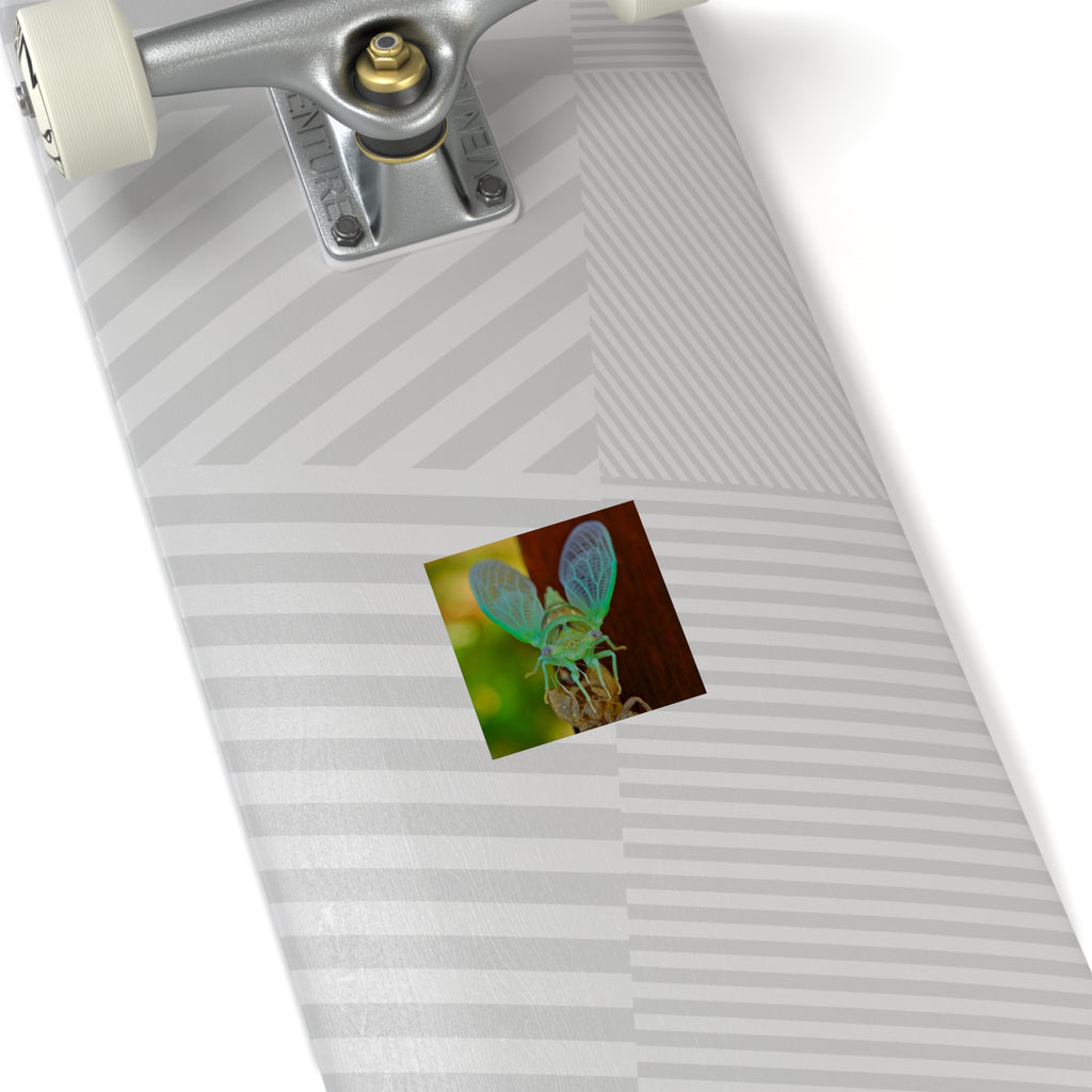 Cicada Square Sticker — Vivid Green Insect Photo Sticker (Indoor/Outdoor)