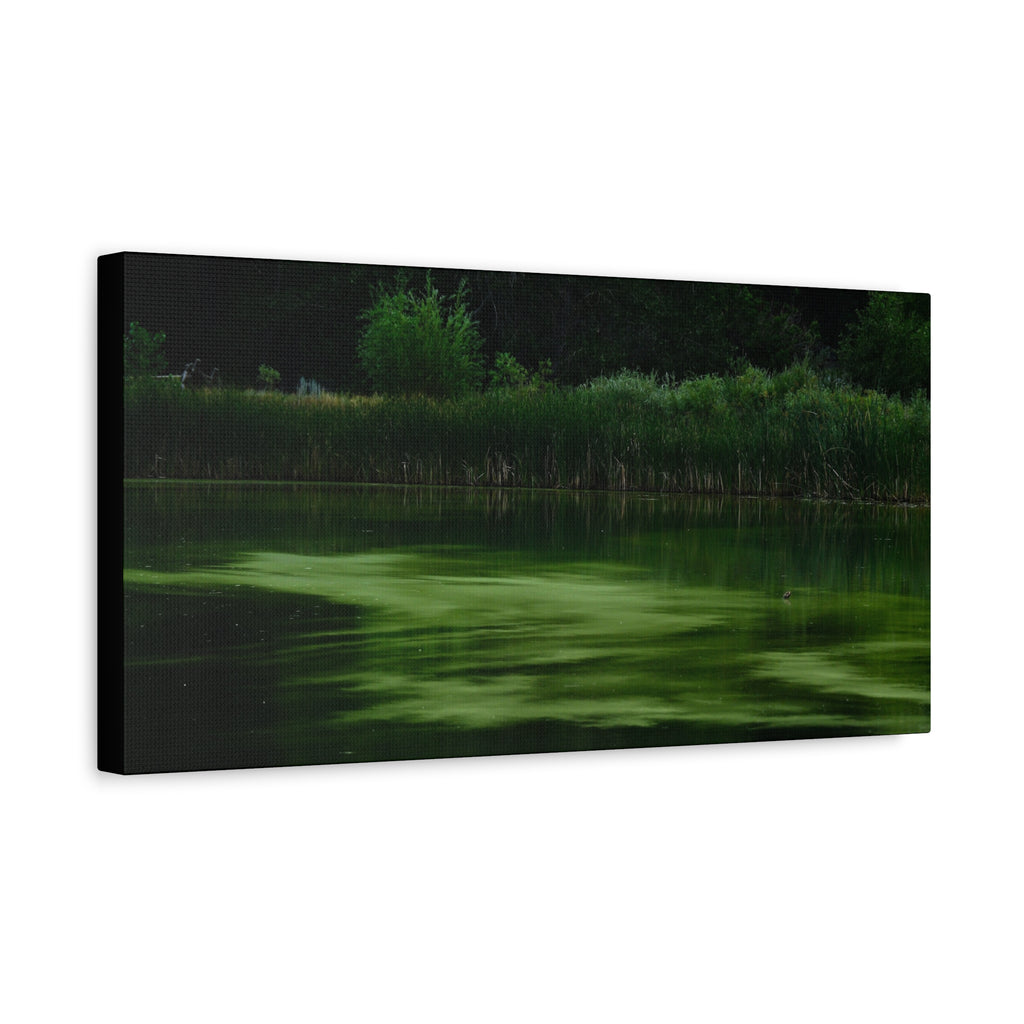 Not Your Average Bloom - Matte Canvas Wall Art Stretched 1.25"