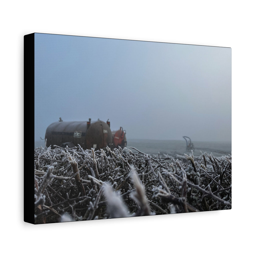 Irish Frost Farm Canvas Print — Foggy Shoreline with Frosted Driftwood