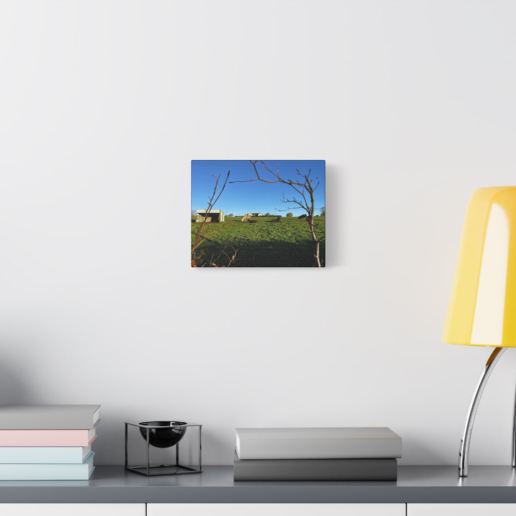 Irish Country Pasture Canvas Print — Matte Stretched Wall Art