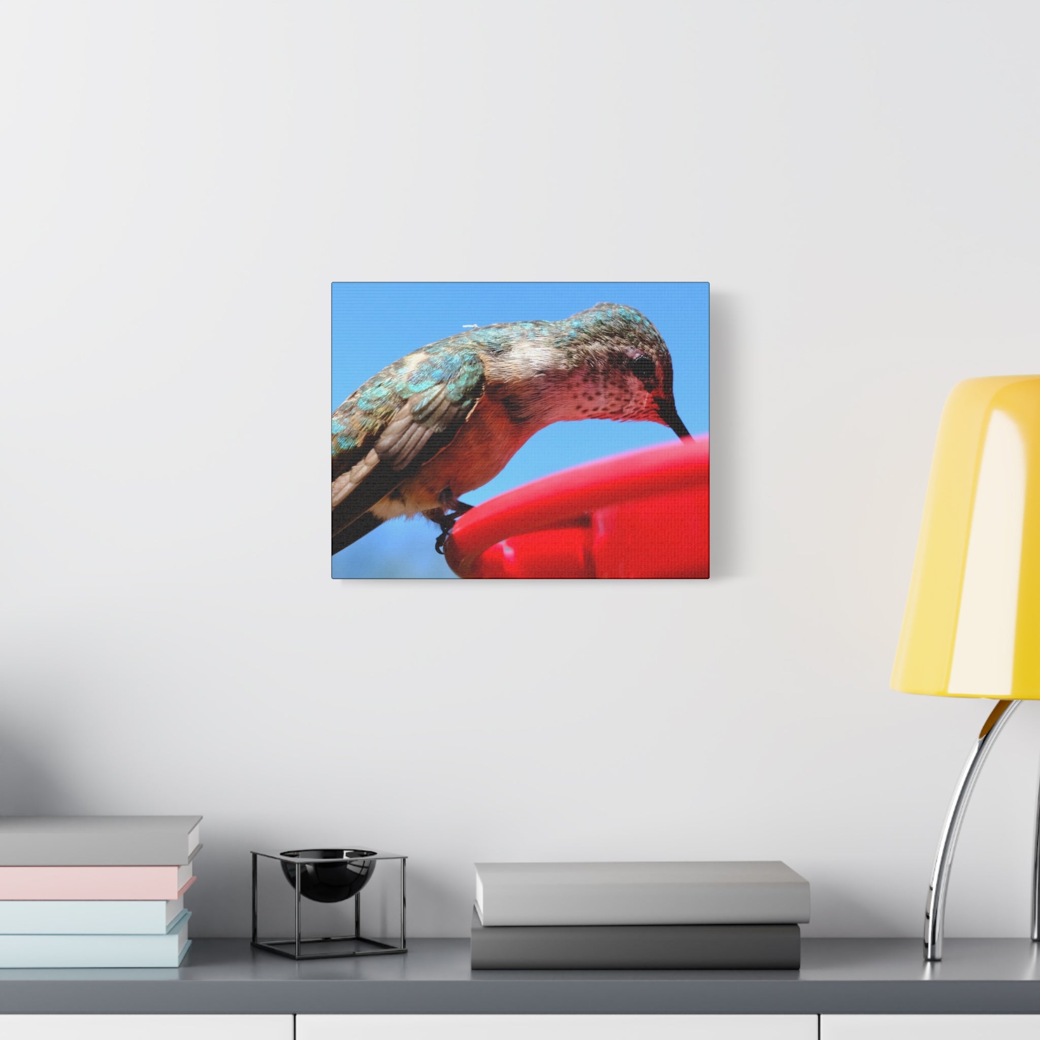 Hummingbird Close Up Canvas Print — Stretched Matte Wall Art