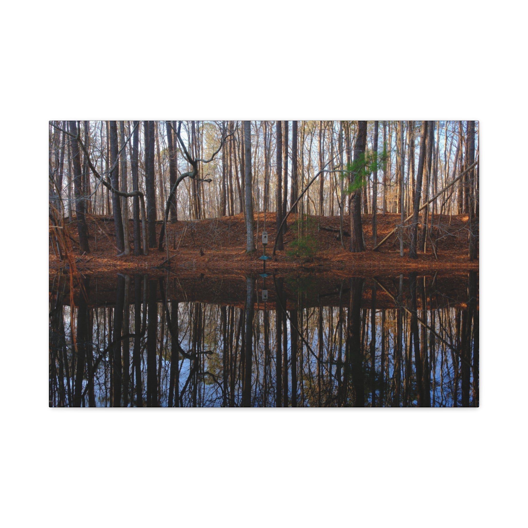Woodland Reflection Matte Canvas Art – Stretched 1.25" Wall Decor