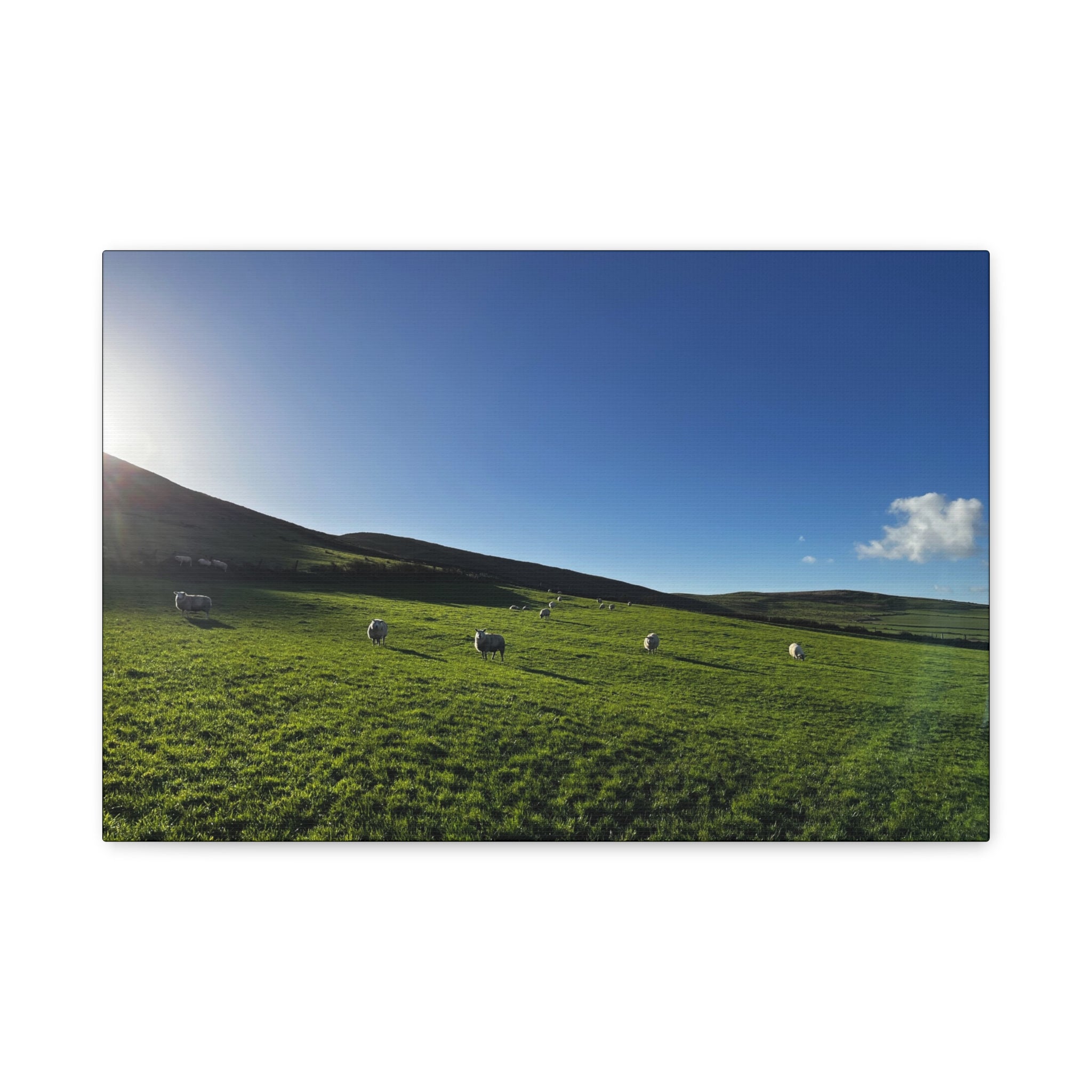 Irish sheep Pasture Canvas Print — Sheep Landscape Matte Stretched Wall Art