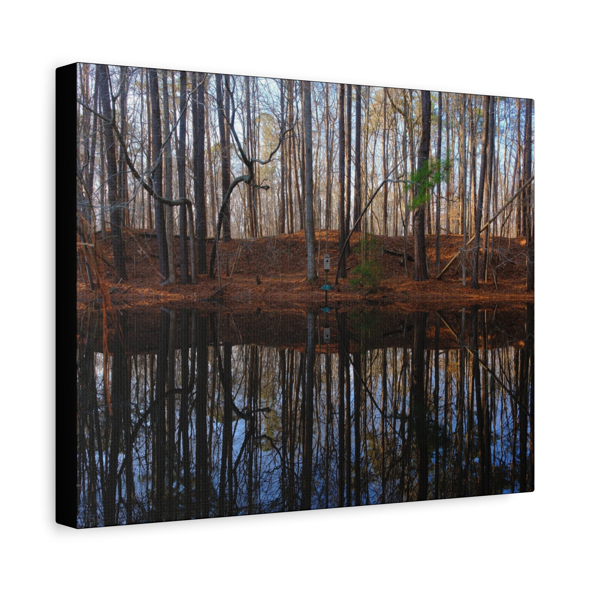 Woodland Reflection Matte Canvas Art – Stretched 1.25" Wall Decor