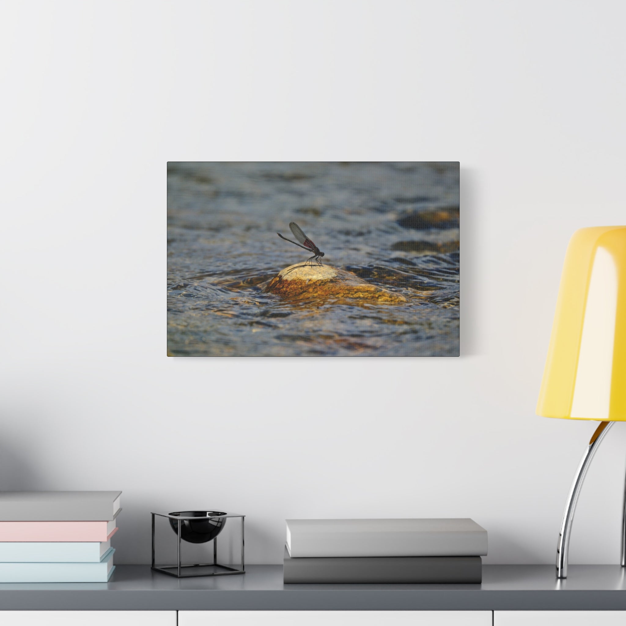 Damselfly on River Rock - Matte Canvas Print