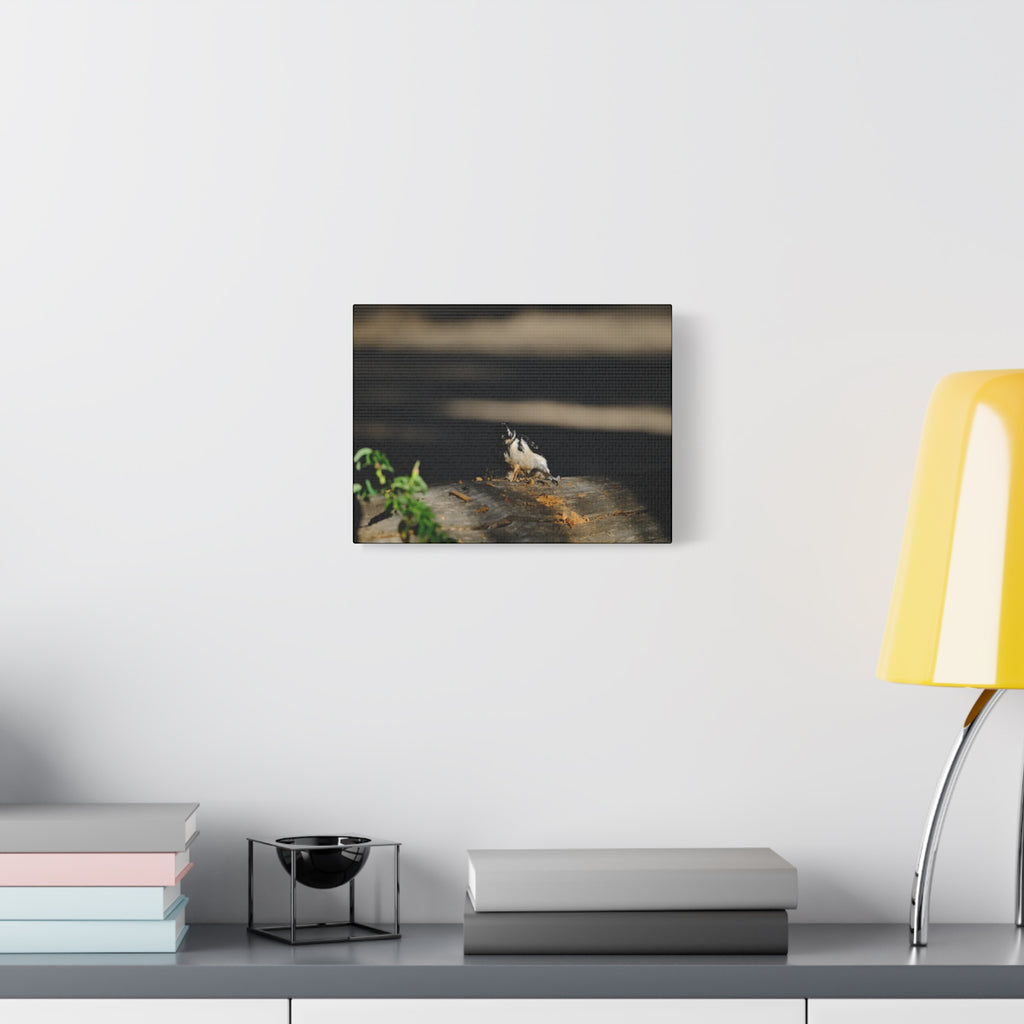 American Three-toed Woodpecker Hard At Work Canvas Wall Art