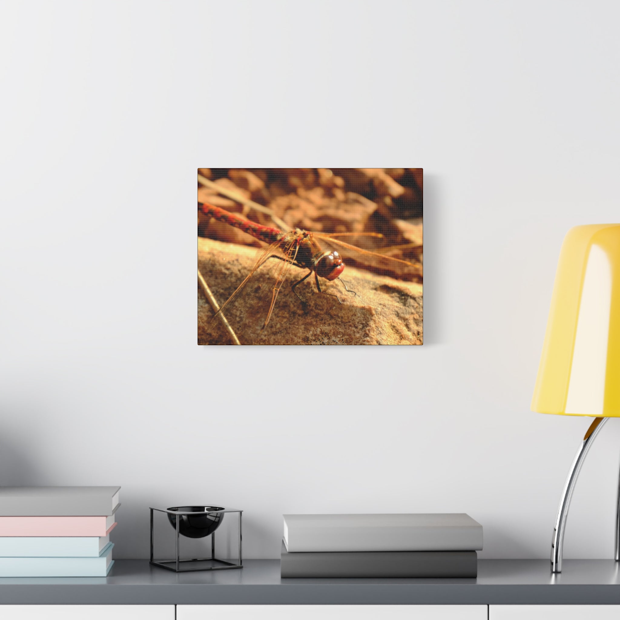 Dragonfly Macro Canvas Print — Close-Up Nature Wall Art, Rustic Insect Photography