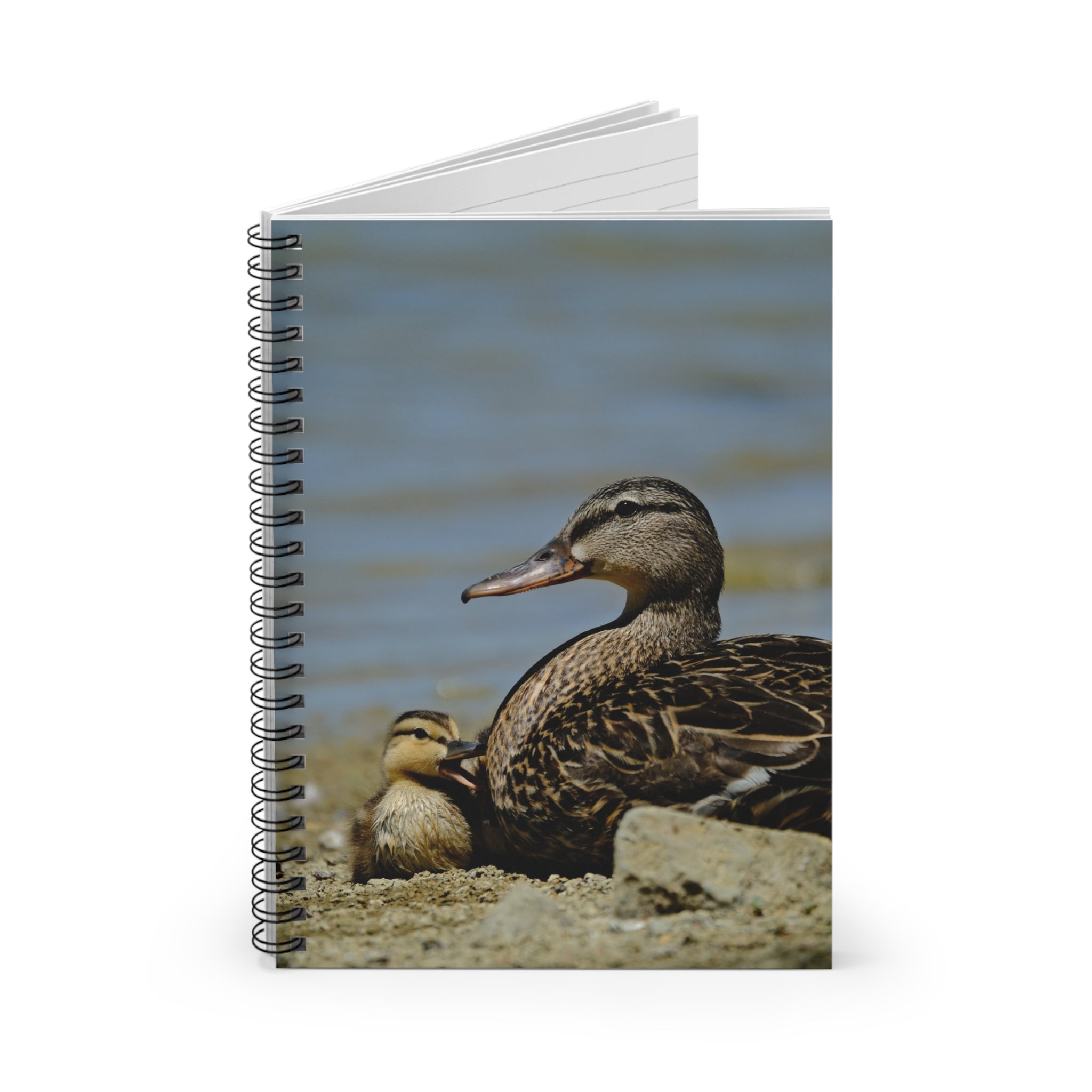 Duck & Duckling Spiral Notebook — Lined Journal for Nature Lovers