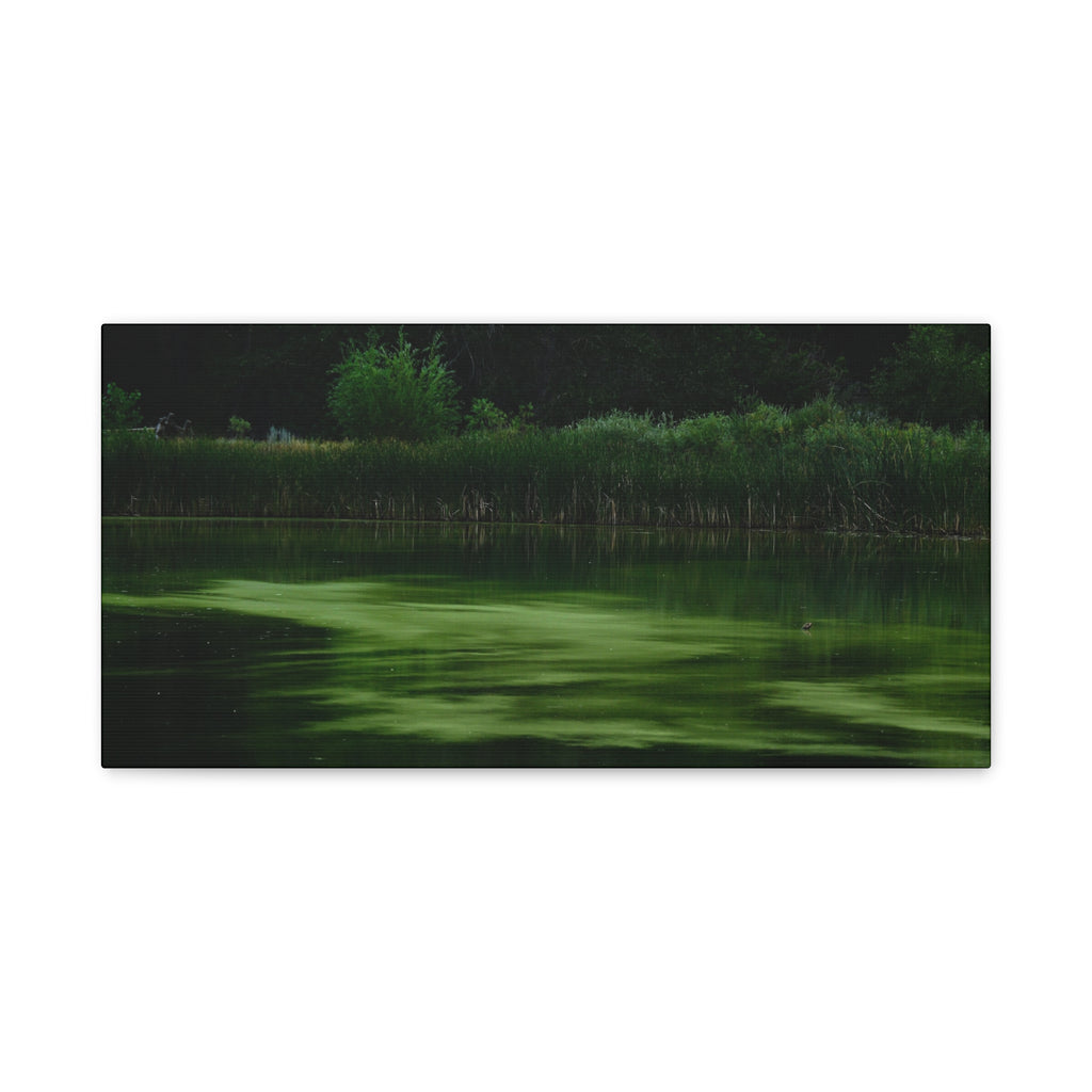 Not Your Average Bloom - Matte Canvas Wall Art Stretched 1.25"