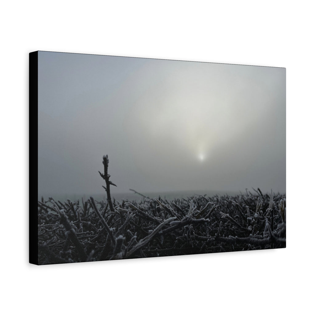 Foggy Sunrise Matte Canvas Wall Art – Moody Winter Landscape