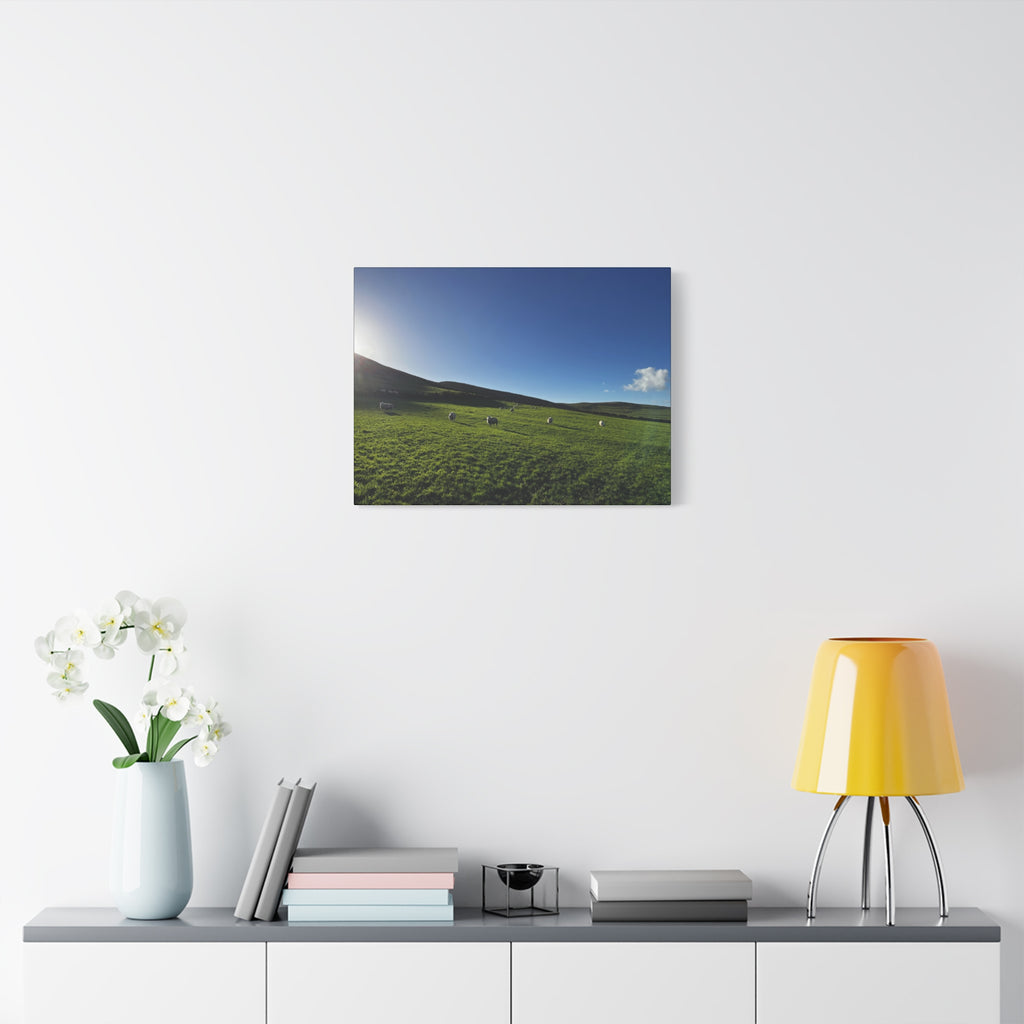 Irish sheep Pasture Canvas Print — Sheep Landscape Matte Stretched Wall Art