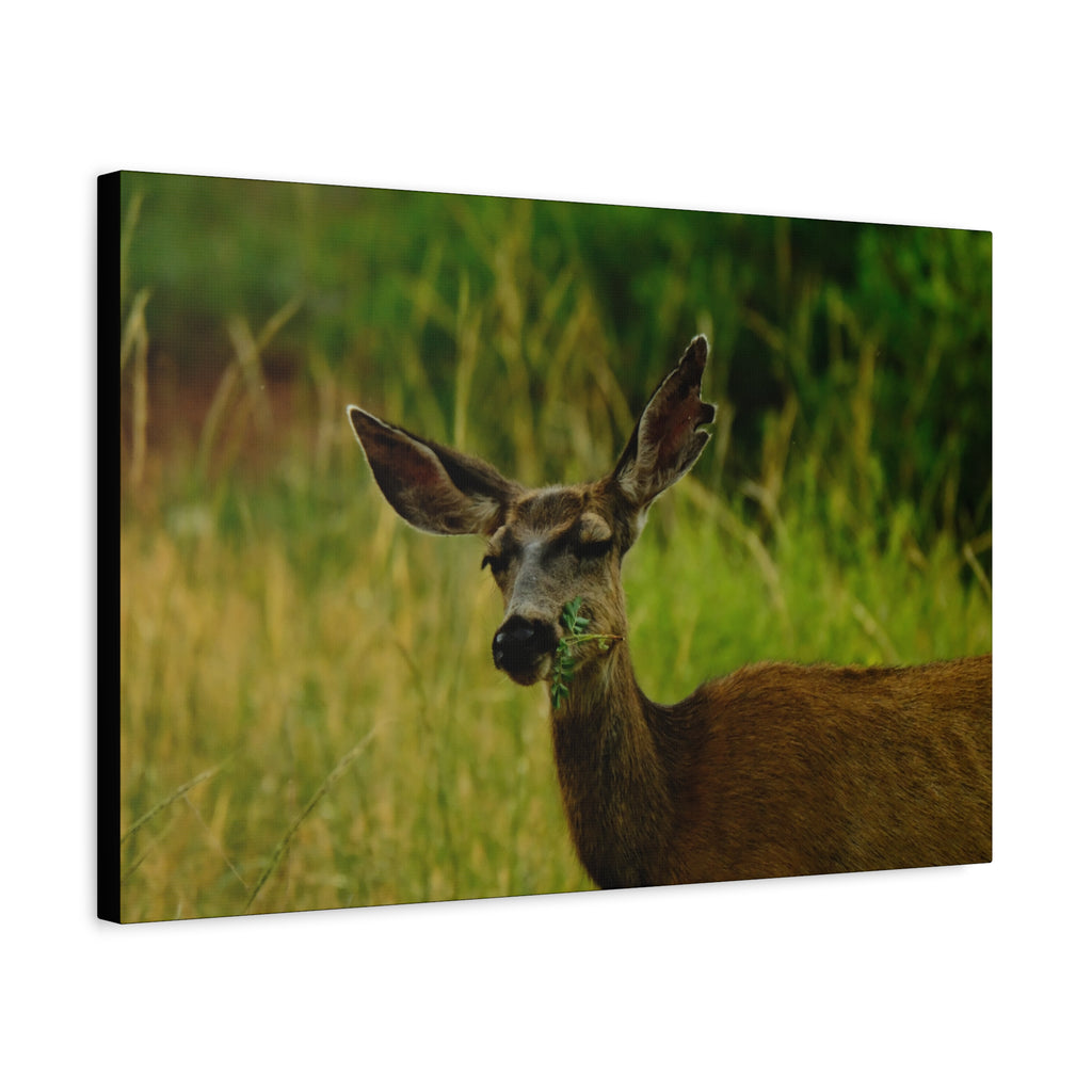 Doe Portrait Matte Canvas Wall Art