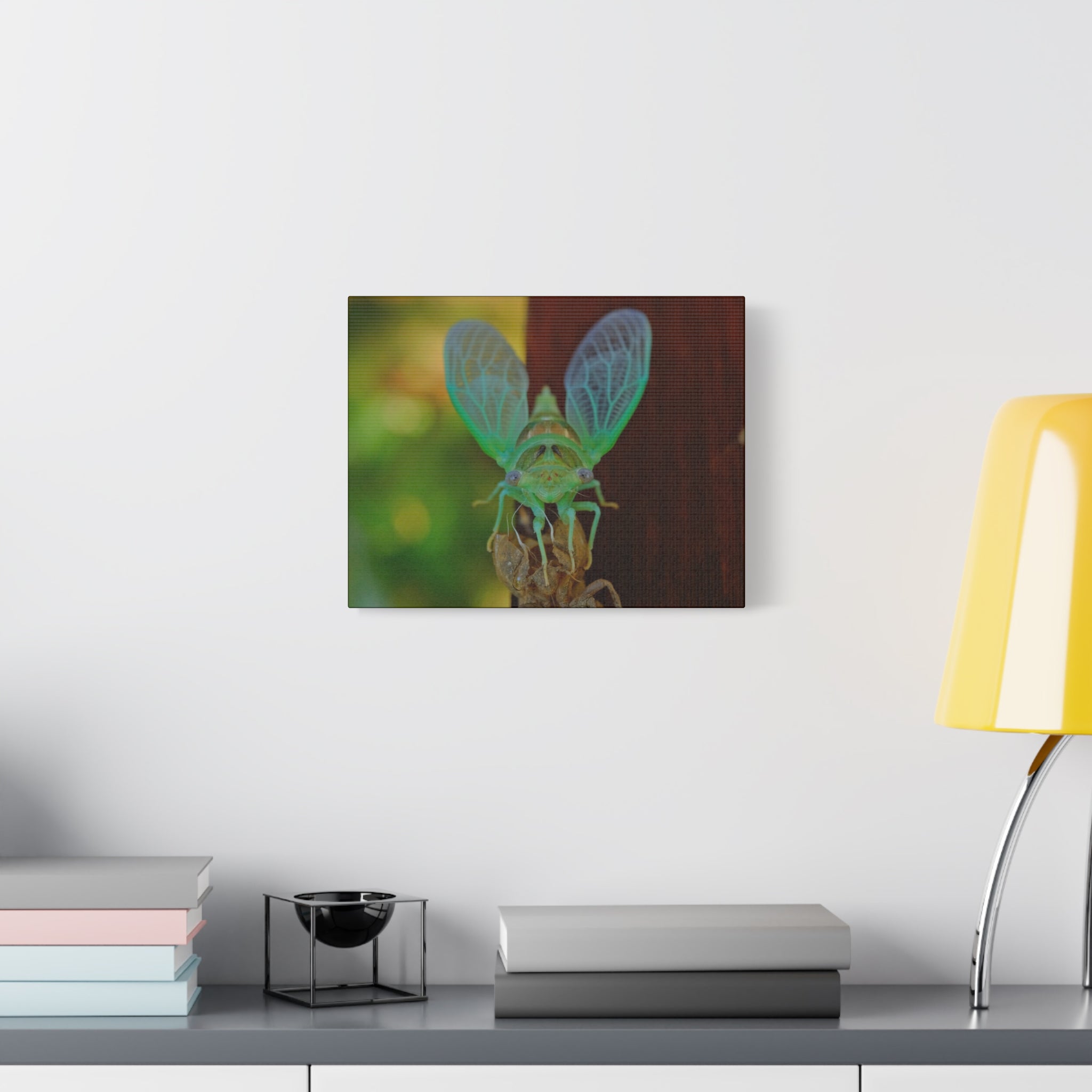 The Cutest Green Cicada Canvas Print - Matte Stretched Wall Art