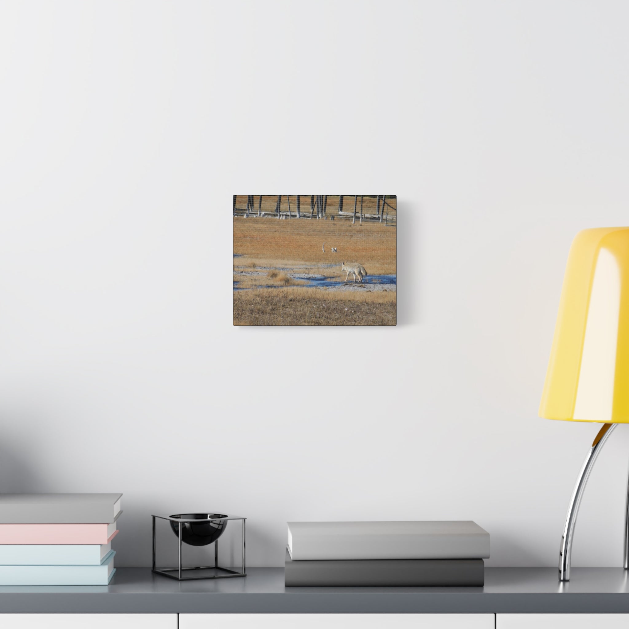 Coyote Canvas Wall Art — Wildlife Landscape Matte Stretched Print