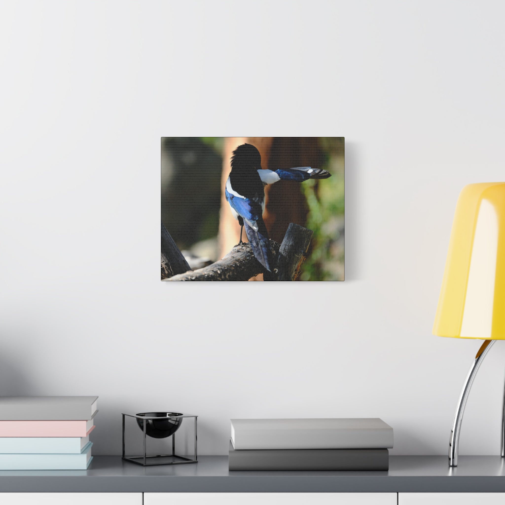 Black-billed Magpie Wildlife Canvas Print — Matte Stretched Wall Art
