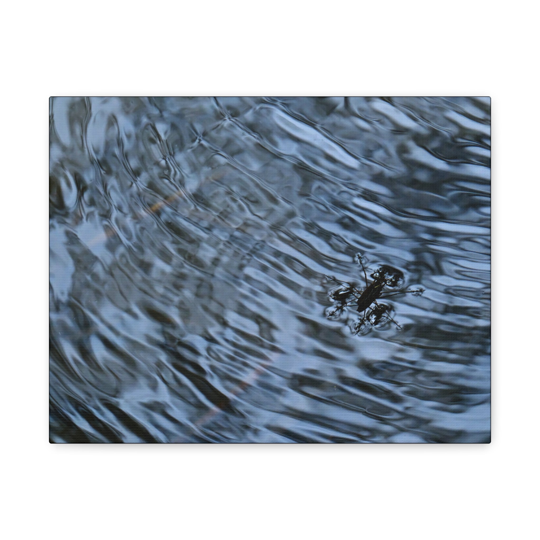 Rippling - Canvas Matte Stretched Print