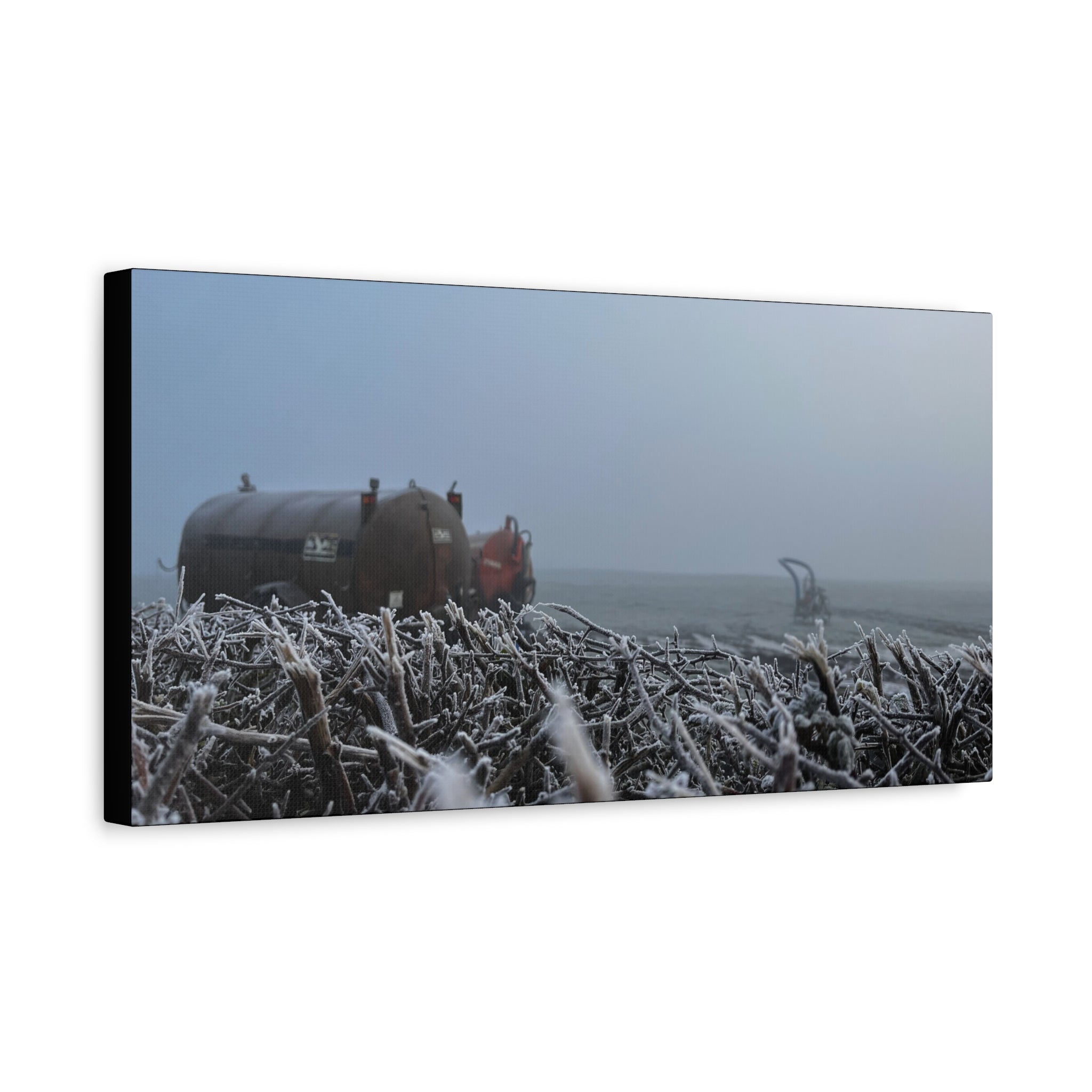 Irish Frost Farm Canvas Print — Foggy Shoreline with Frosted Driftwood