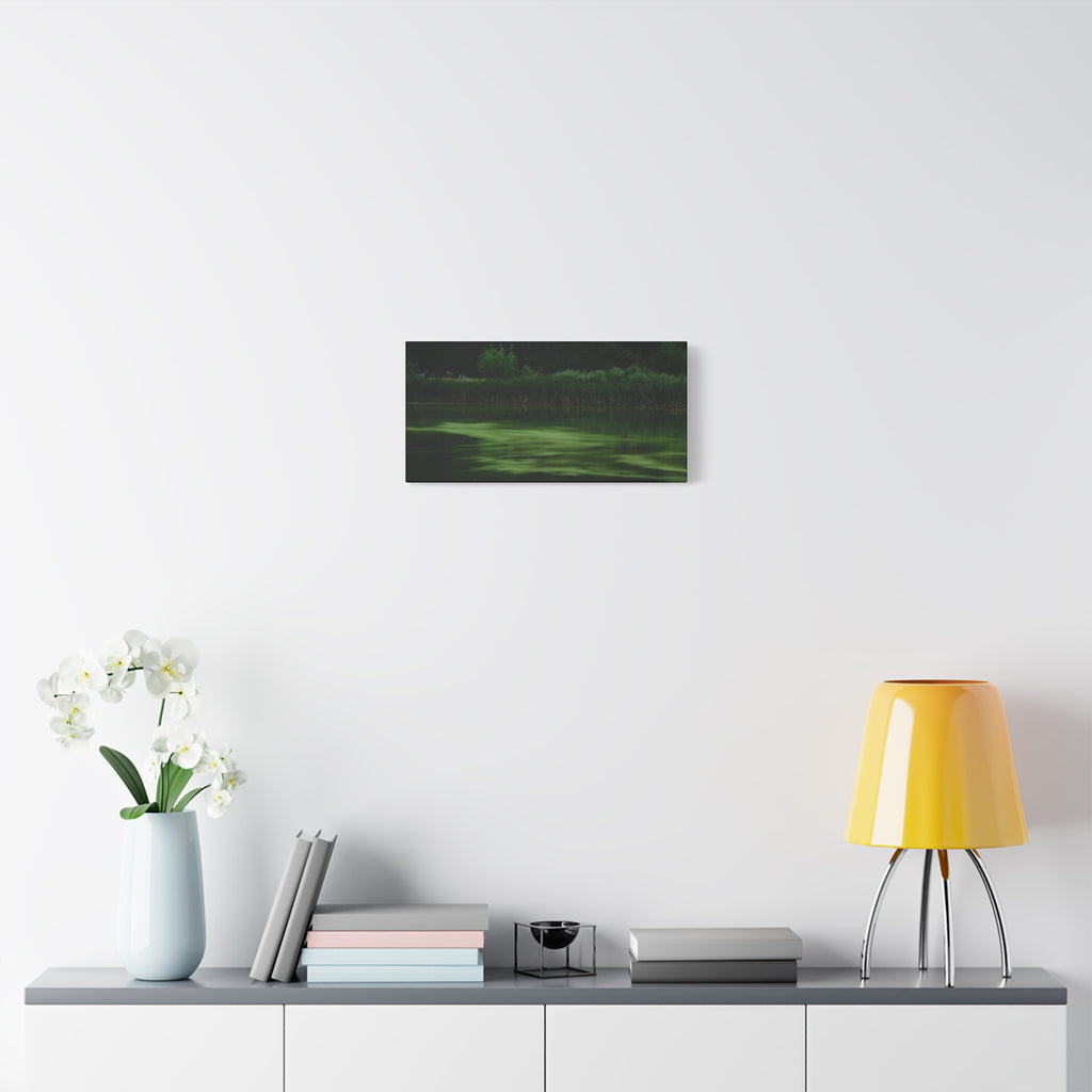 Not Your Average Bloom - Matte Canvas Wall Art Stretched 1.25"