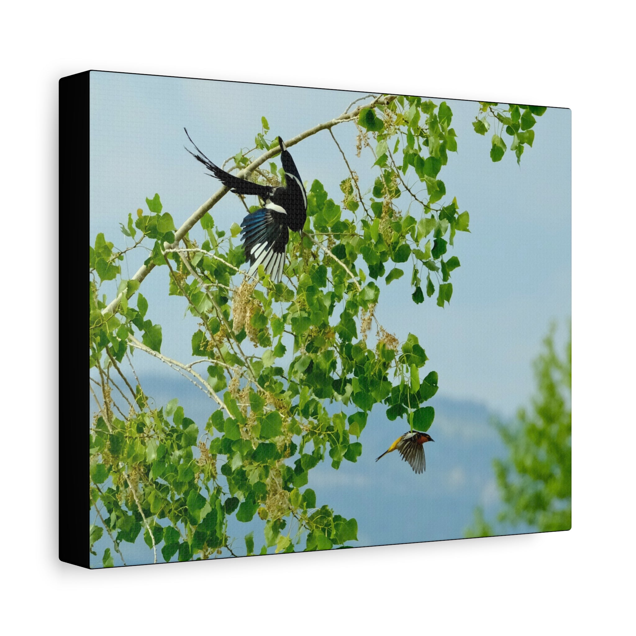 Birds in Flight Matte Canvas Wall Art — Spring Tree Branch Nature Print