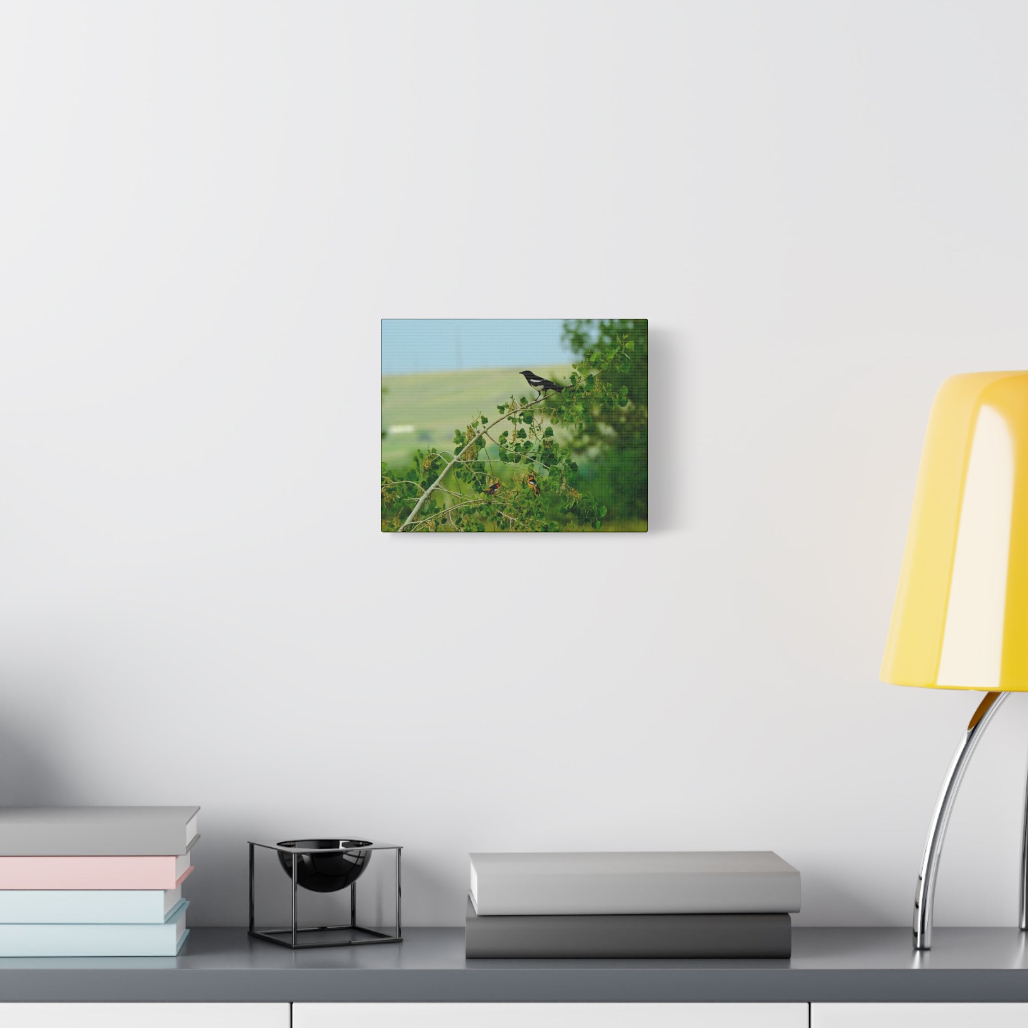 Magpie & Bullock's Oriole resting Matte Stretched Canvas Wall Art