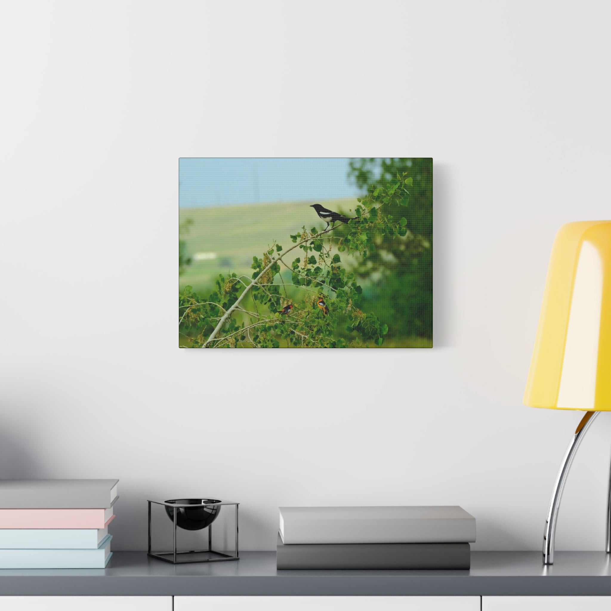 Magpie & Bullock's Oriole resting Matte Stretched Canvas Wall Art