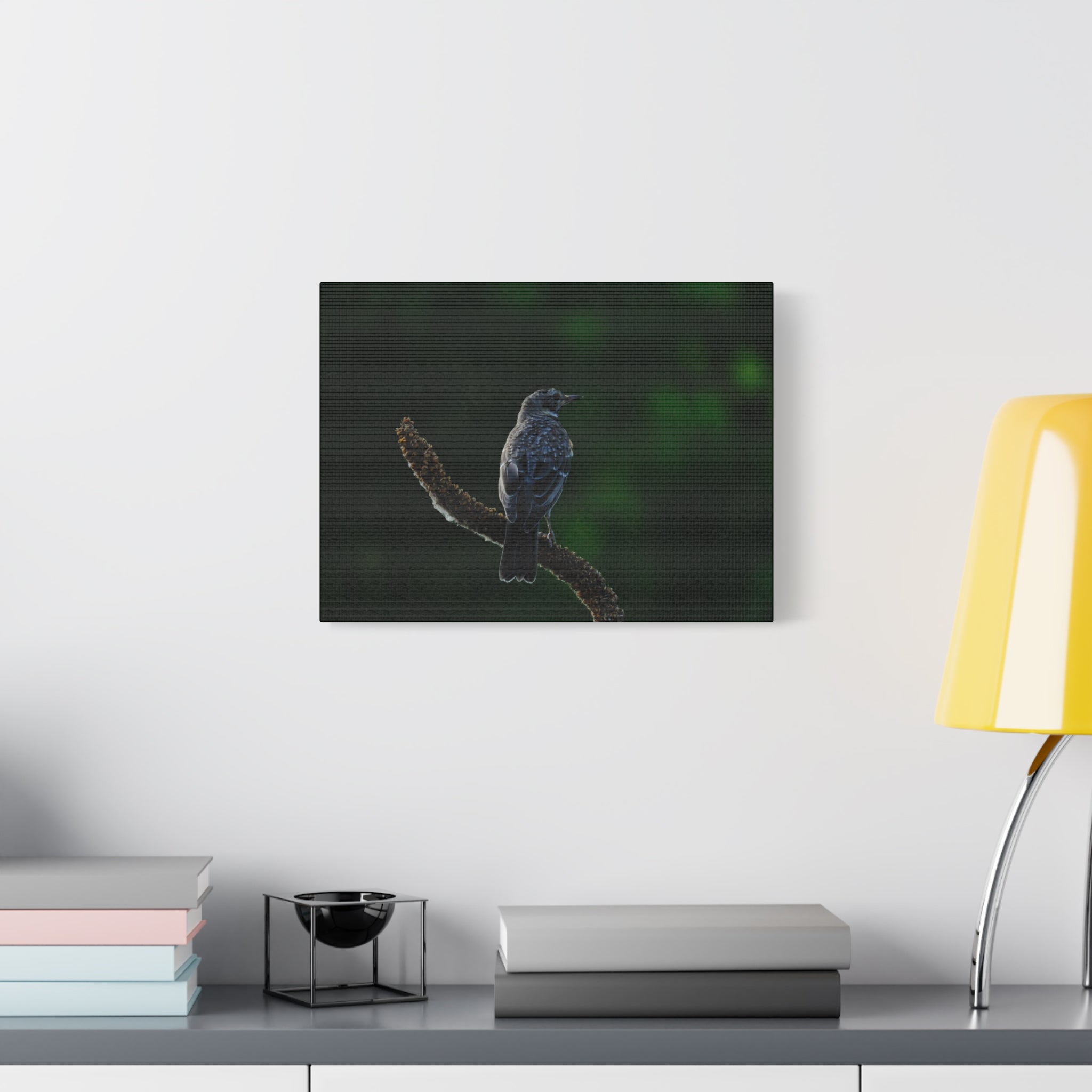 Robin on Branch Matte Canvas Wall Art — Moody Nature Photography Print