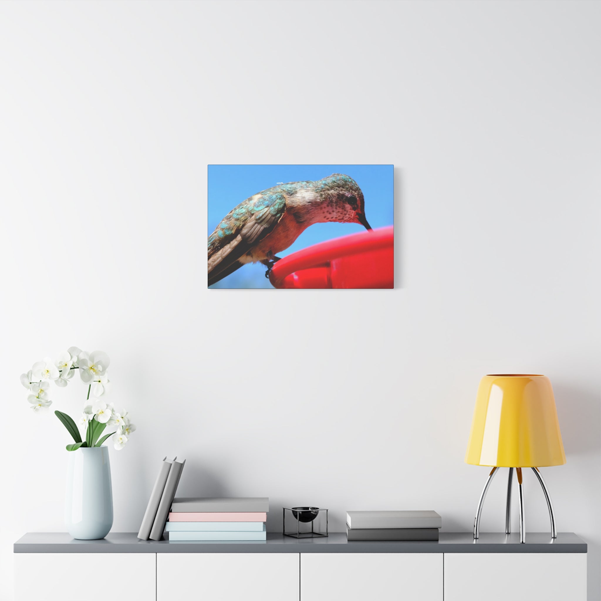 Hummingbird Close Up Canvas Print — Stretched Matte Wall Art