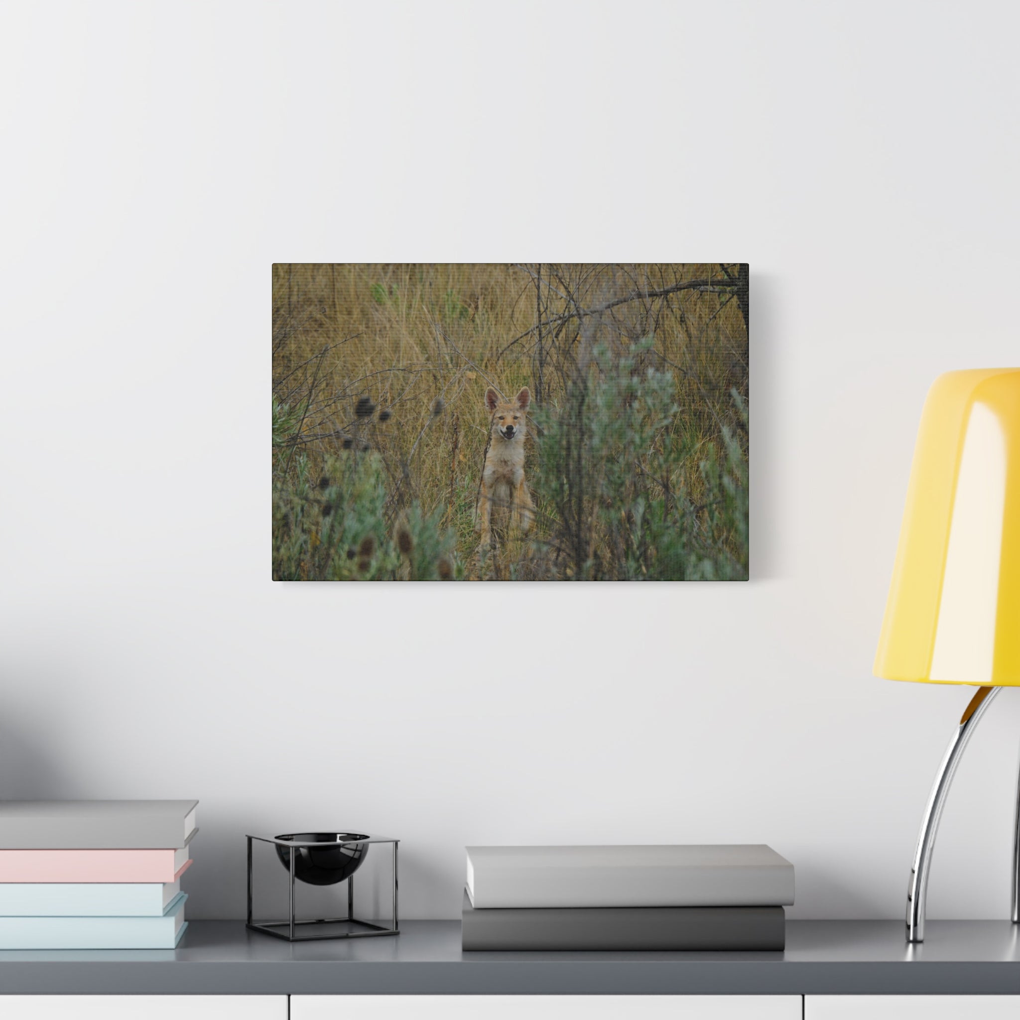 Friendly Face In The Wild - Coyote in Tall Grass Matte Canvas Wall Art