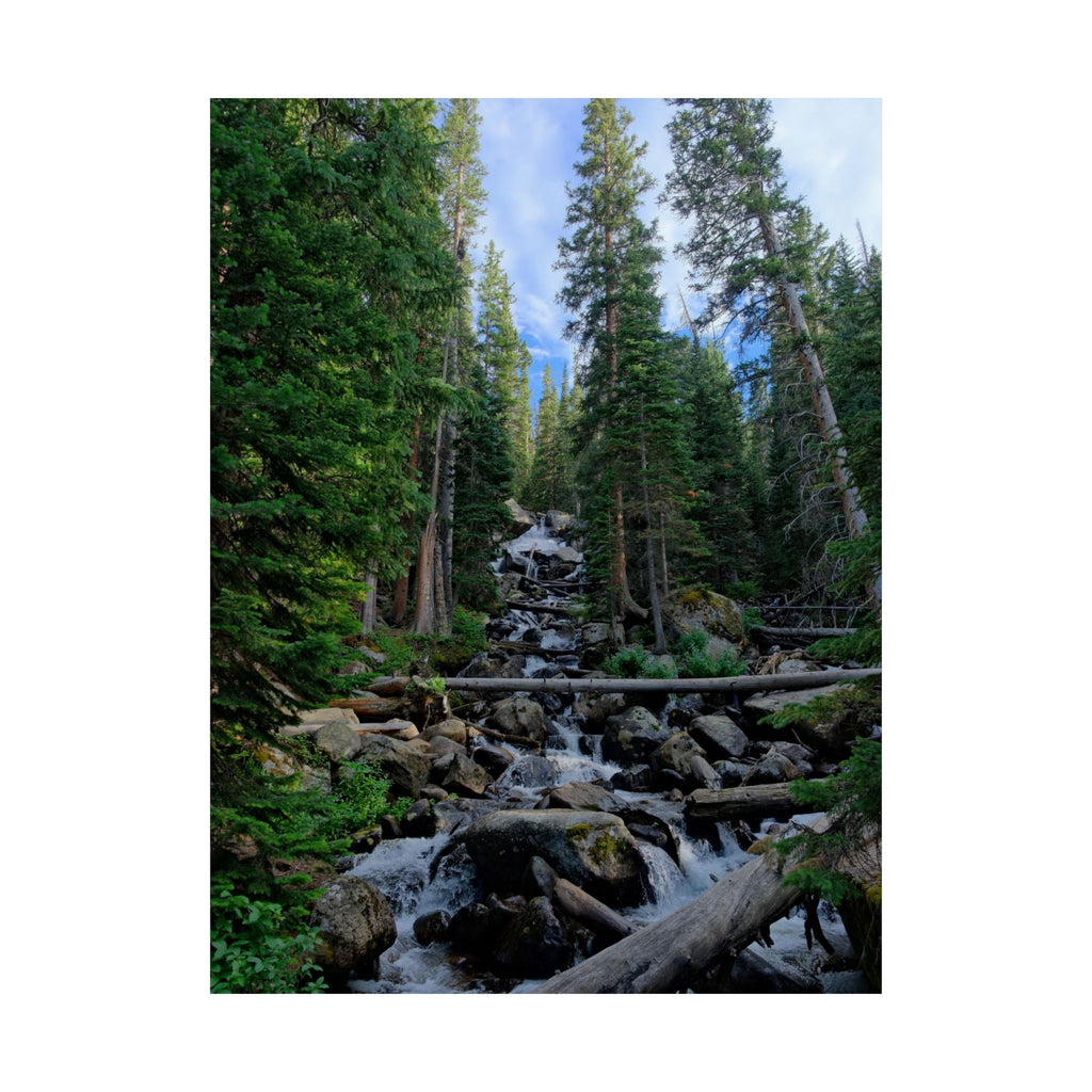 Mountain Stream Forest Matte Poster — Vertical Nature Wall Art