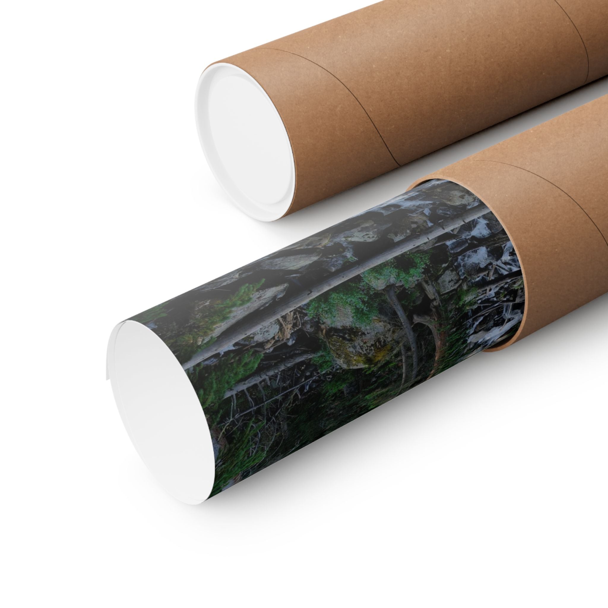 Mountain Stream Forest Matte Poster — Vertical Nature Wall Art