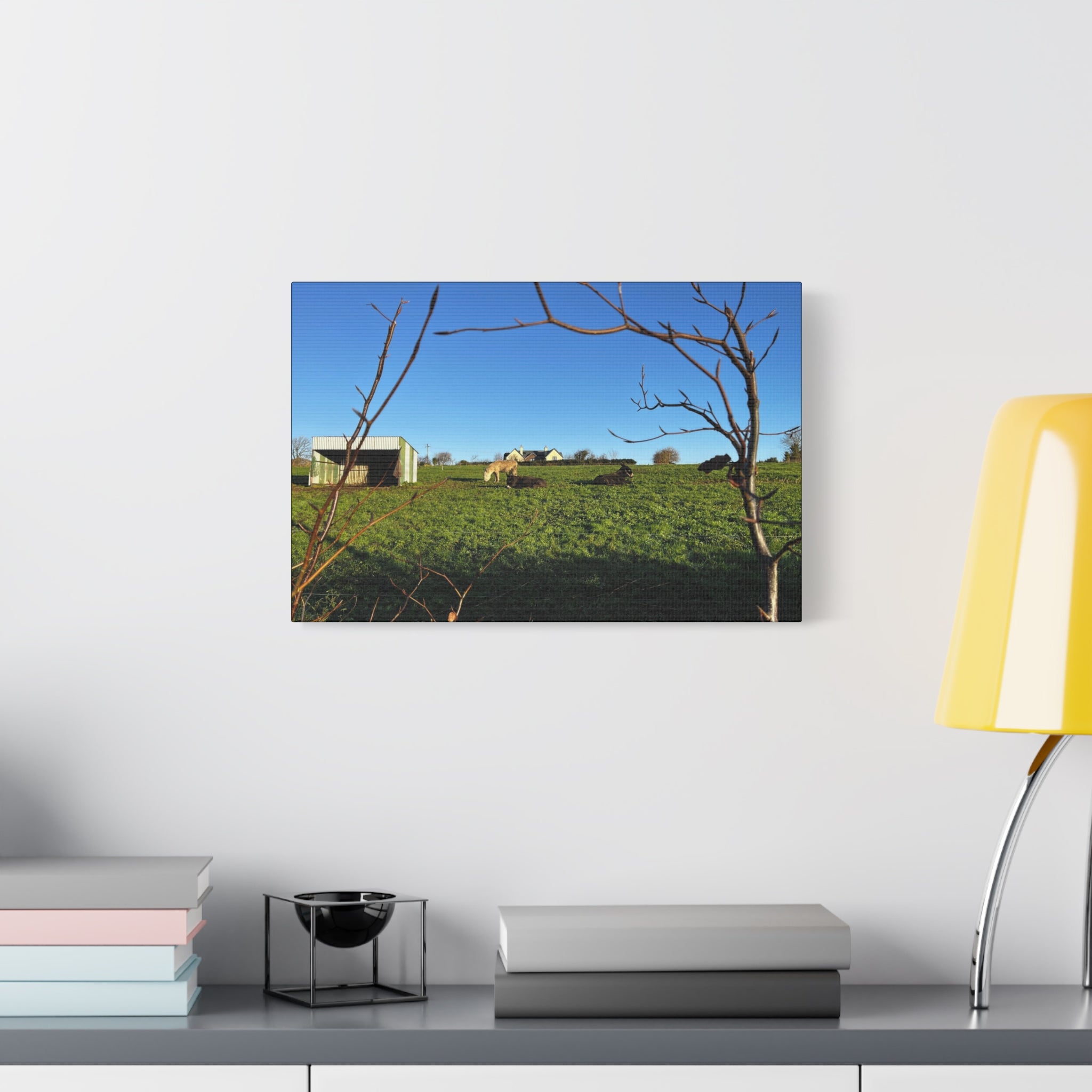 Irish Country Pasture Canvas Print — Matte Stretched Wall Art