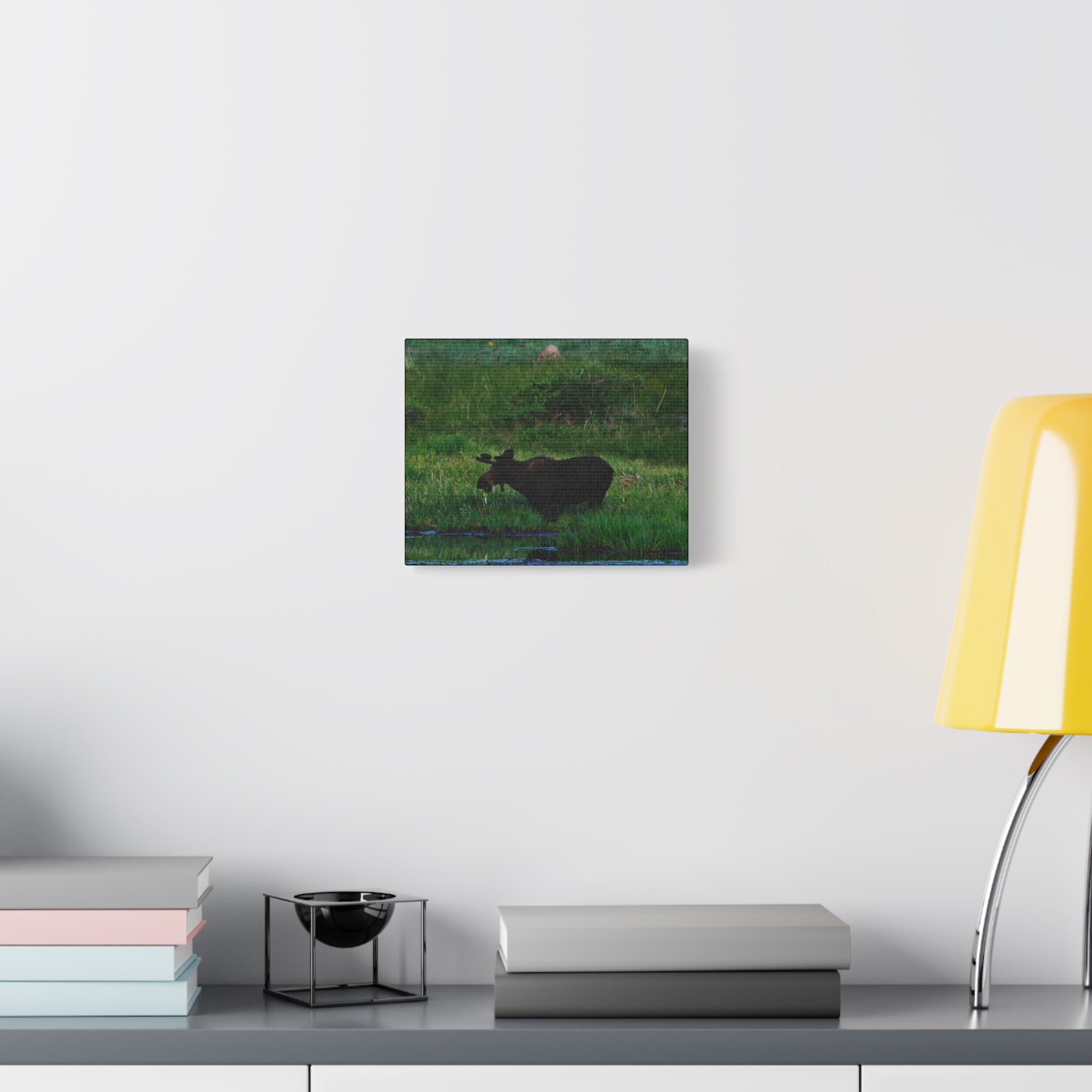 Munching Moose Matte Canvas Print — Stretched Wildlife Wall Art