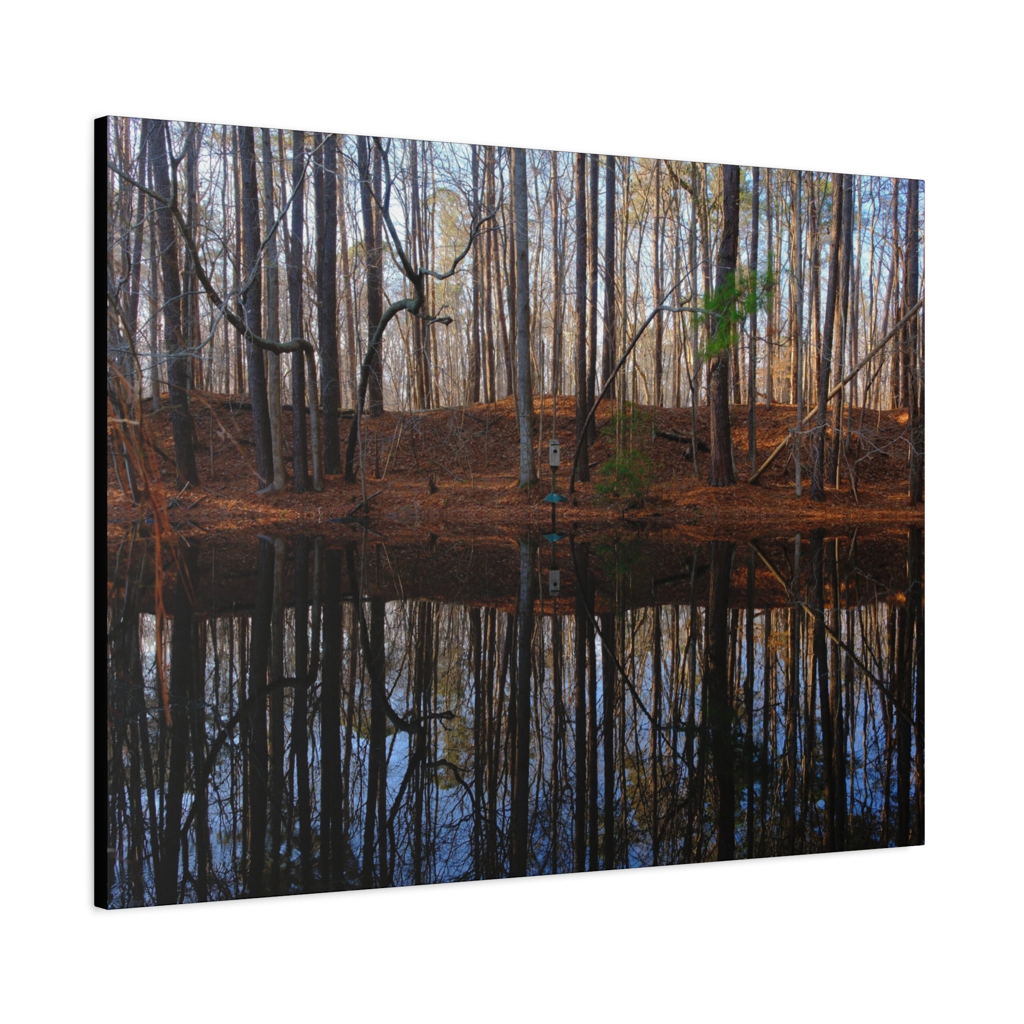 Woodland Reflection Matte Canvas Art – Stretched 1.25" Wall Decor