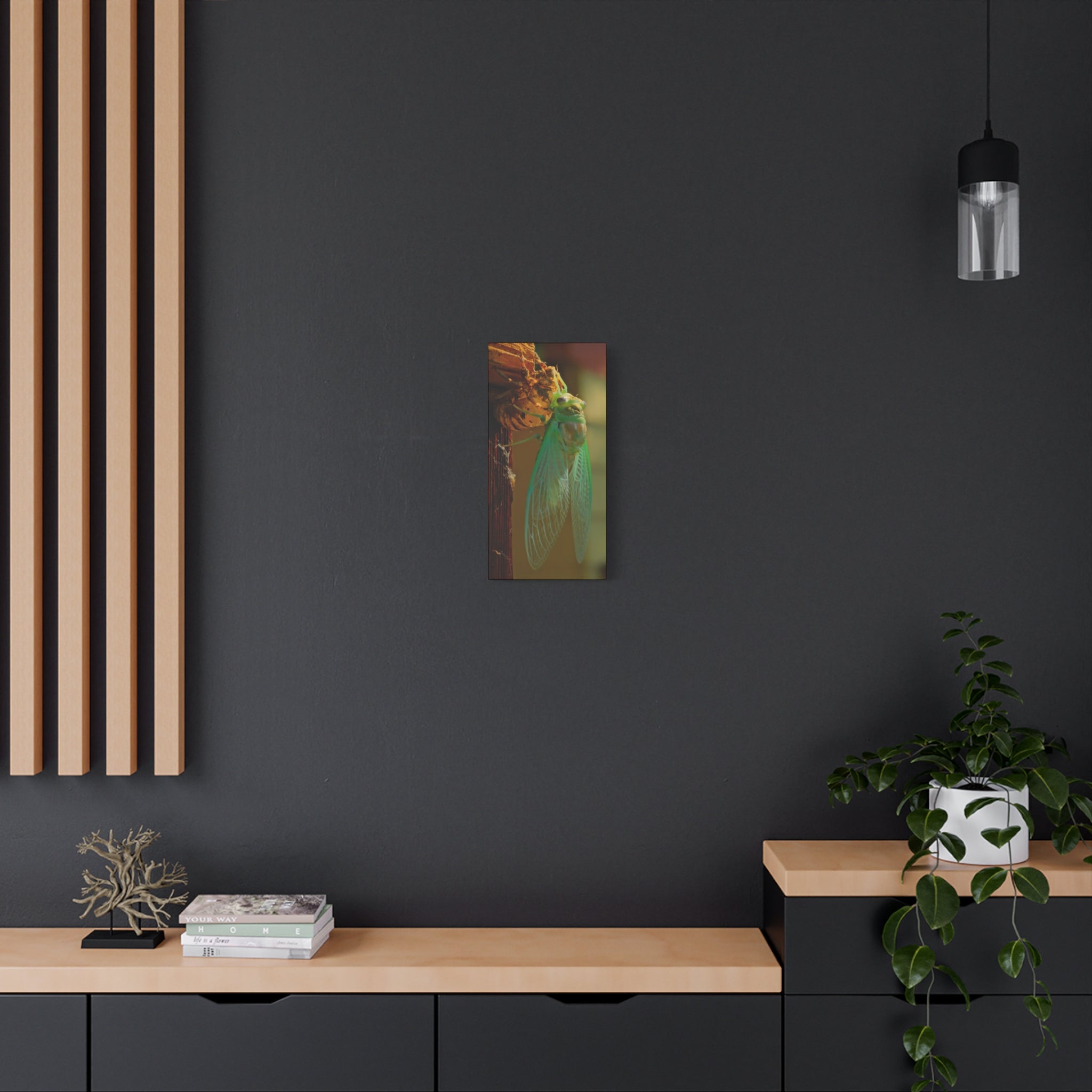 Cicada Close-Up Matte Canvas Wall Art — Nature Photography Stretched Print