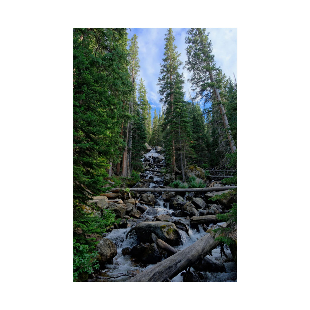Mountain Stream Forest Matte Poster — Vertical Nature Wall Art