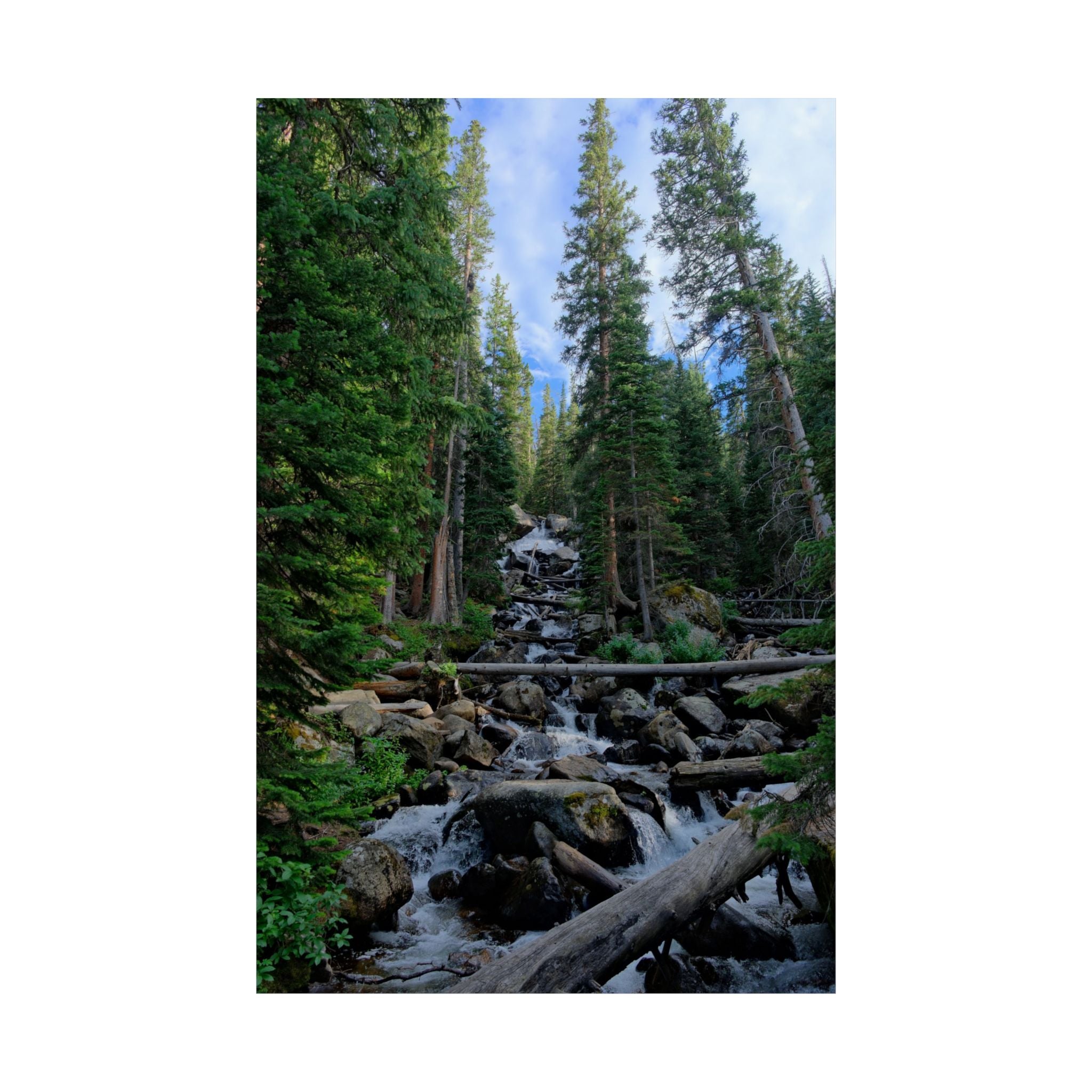 Mountain Stream Forest Matte Poster — Vertical Nature Wall Art