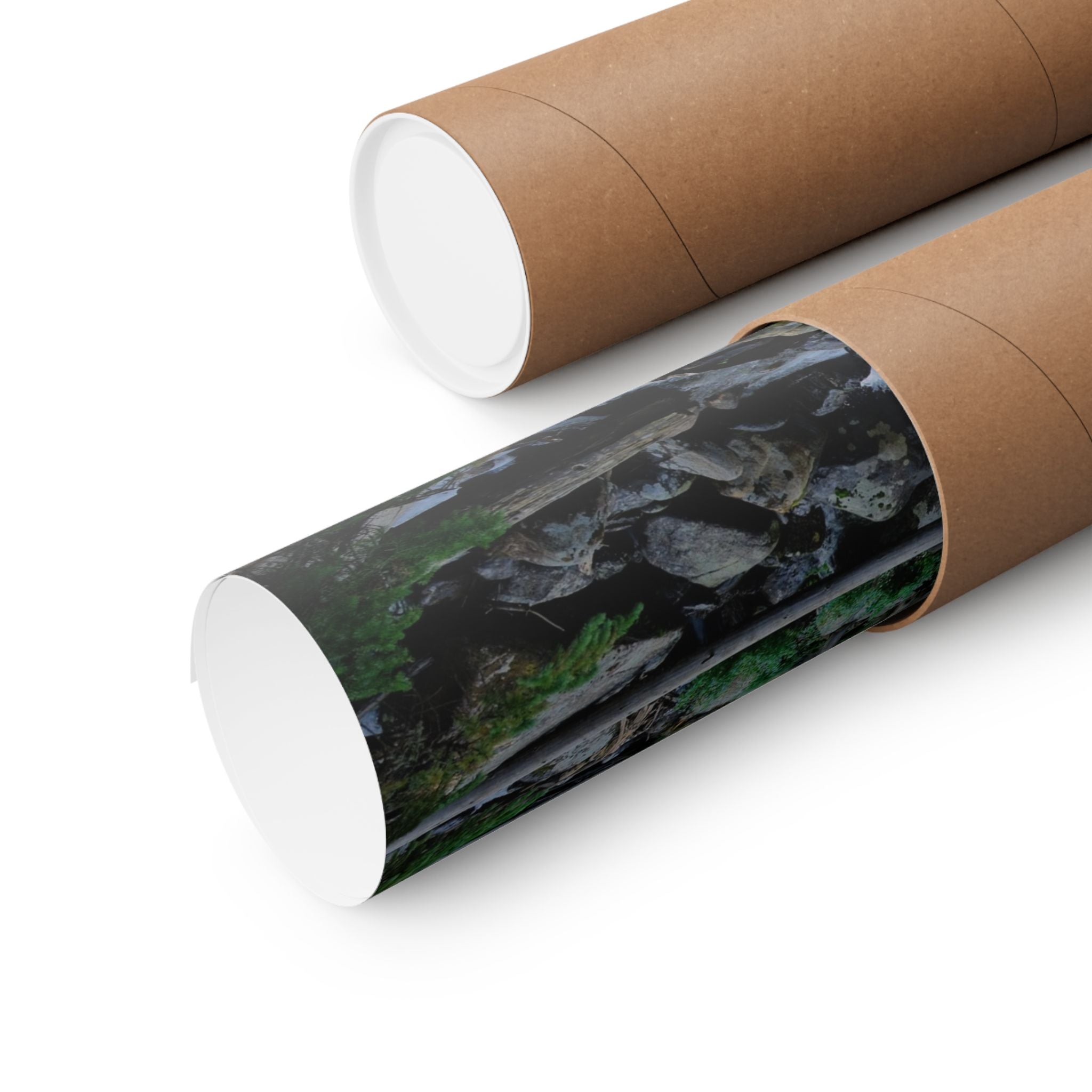 Mountain Stream Forest Matte Poster — Vertical Nature Wall Art