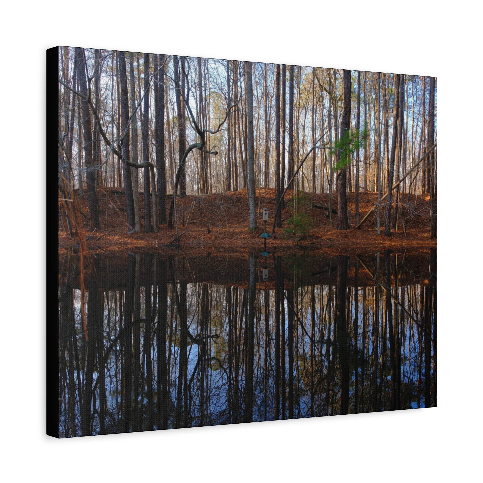 Woodland Reflection Matte Canvas Art – Stretched 1.25" Wall Decor