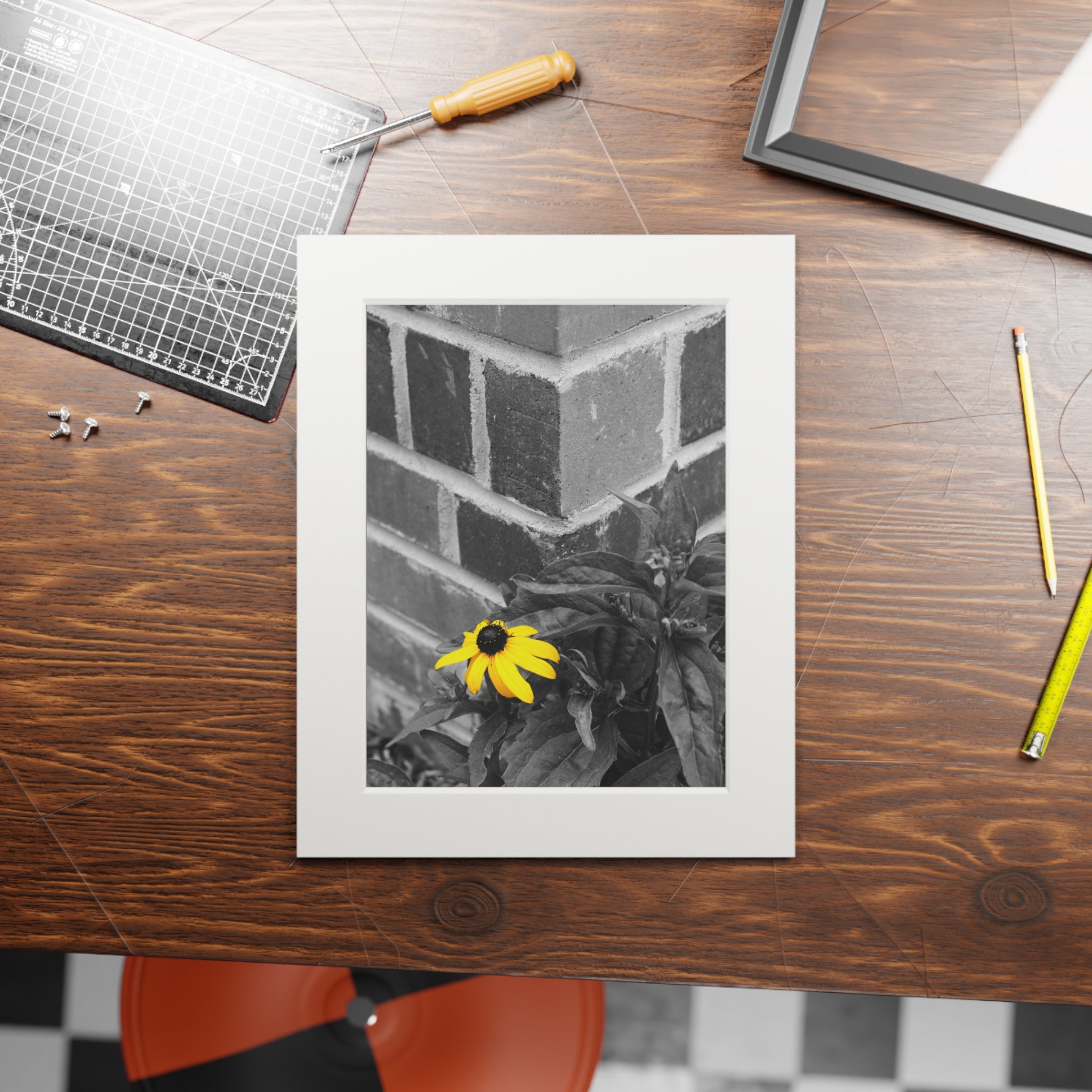 Fine Art Print — Monochrome Brick Corner with Yellow Daisy (Passepartout)